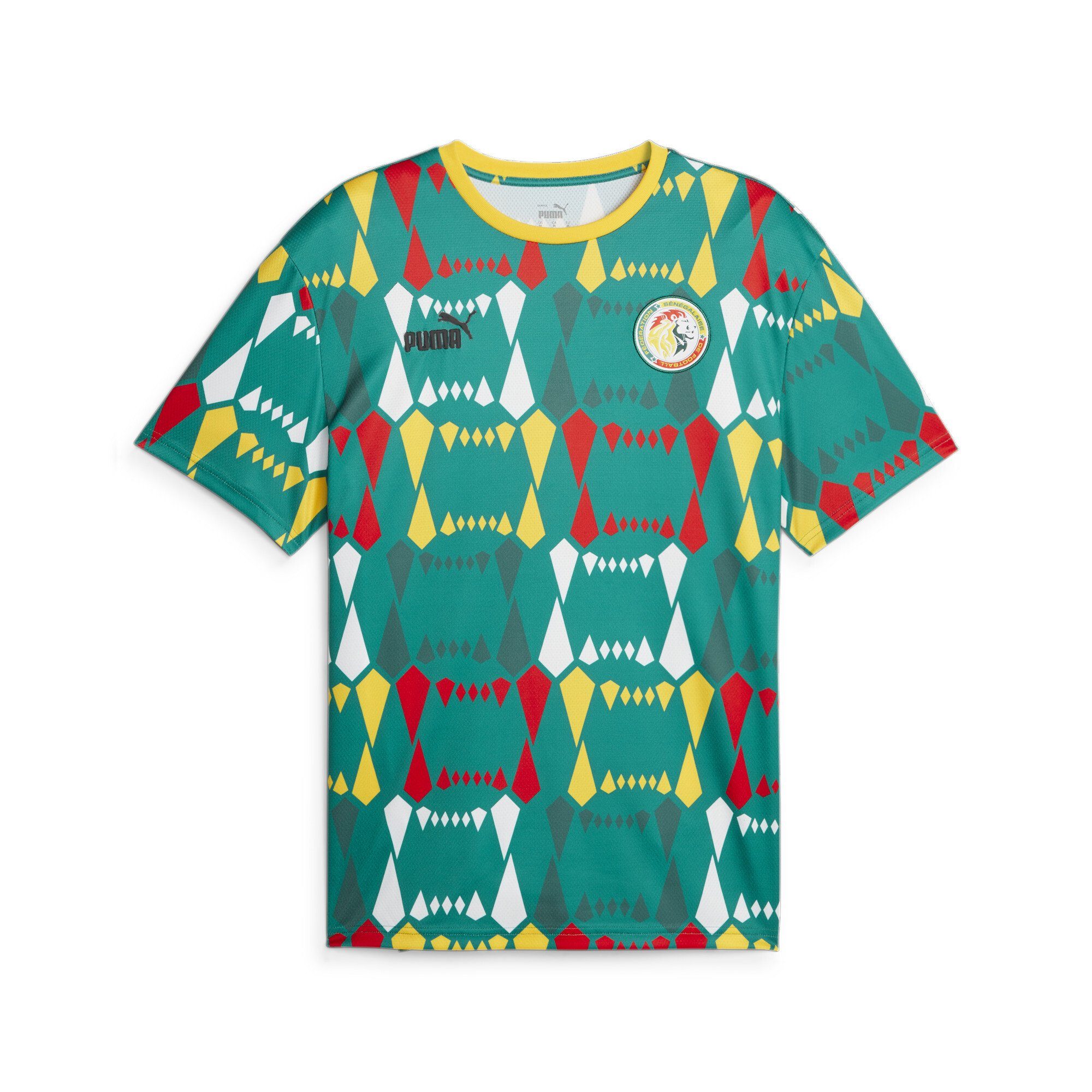 Senegal Herren PUMA T-Shirt T-Shirt ftblCulture