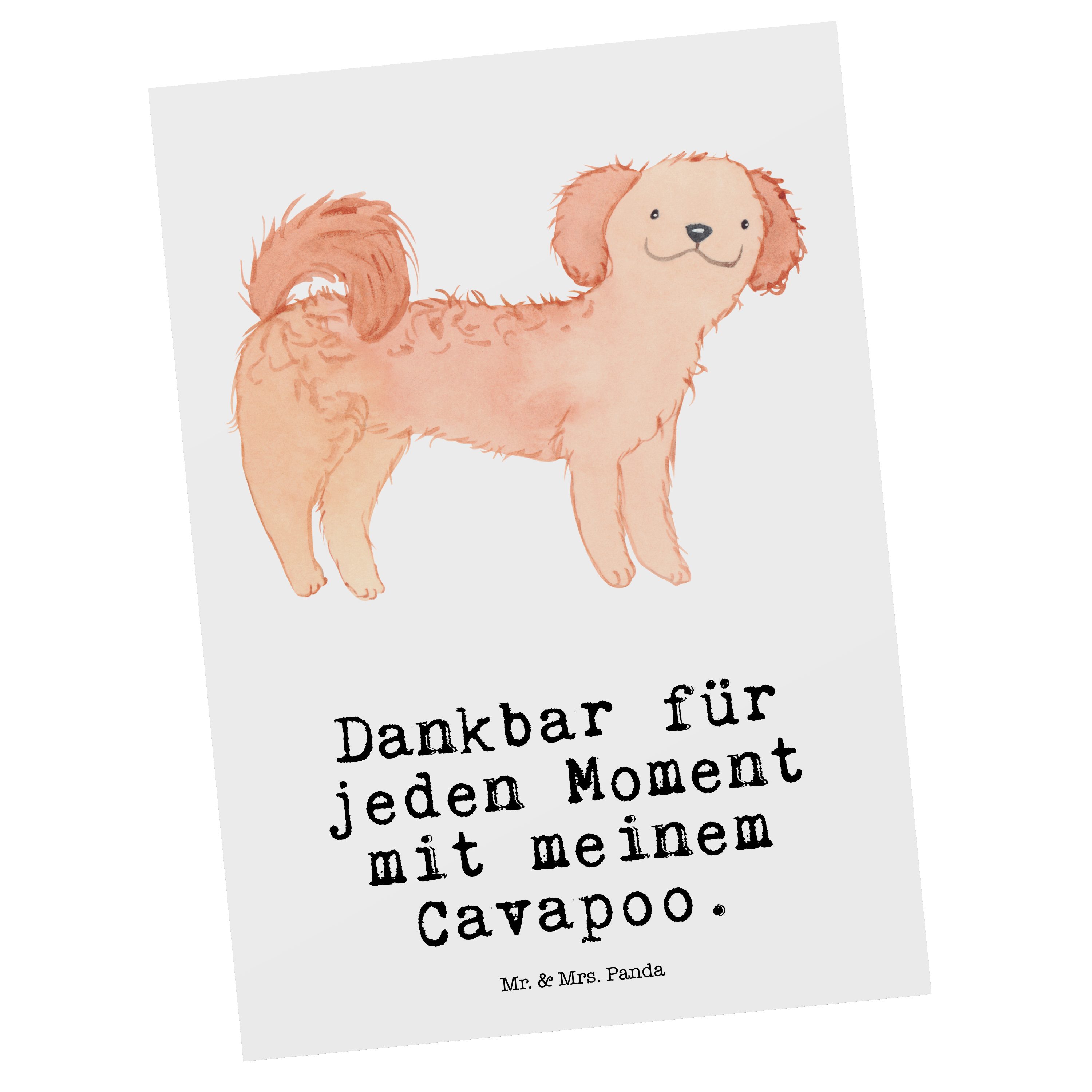 Mr. & Mrs. Panda Postkarte Cavapoo Moment - Weiß - Geschenk, Schenken, Hund, Dankeskarte, Gesche