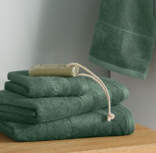 my in home Handtücher (Set, dunkelgrün Markenlogo aus Frottier, Baumwolle der Bordüre, Handtuch 100% Gästehandtücher, 2 4-tlg), Stickerei Set »Aiden«, mit Handtücher, 2