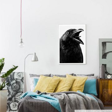 Sinus Art Poster Tierfotografie 60x90cm Poster Krächzende Krähe schwarz weiß