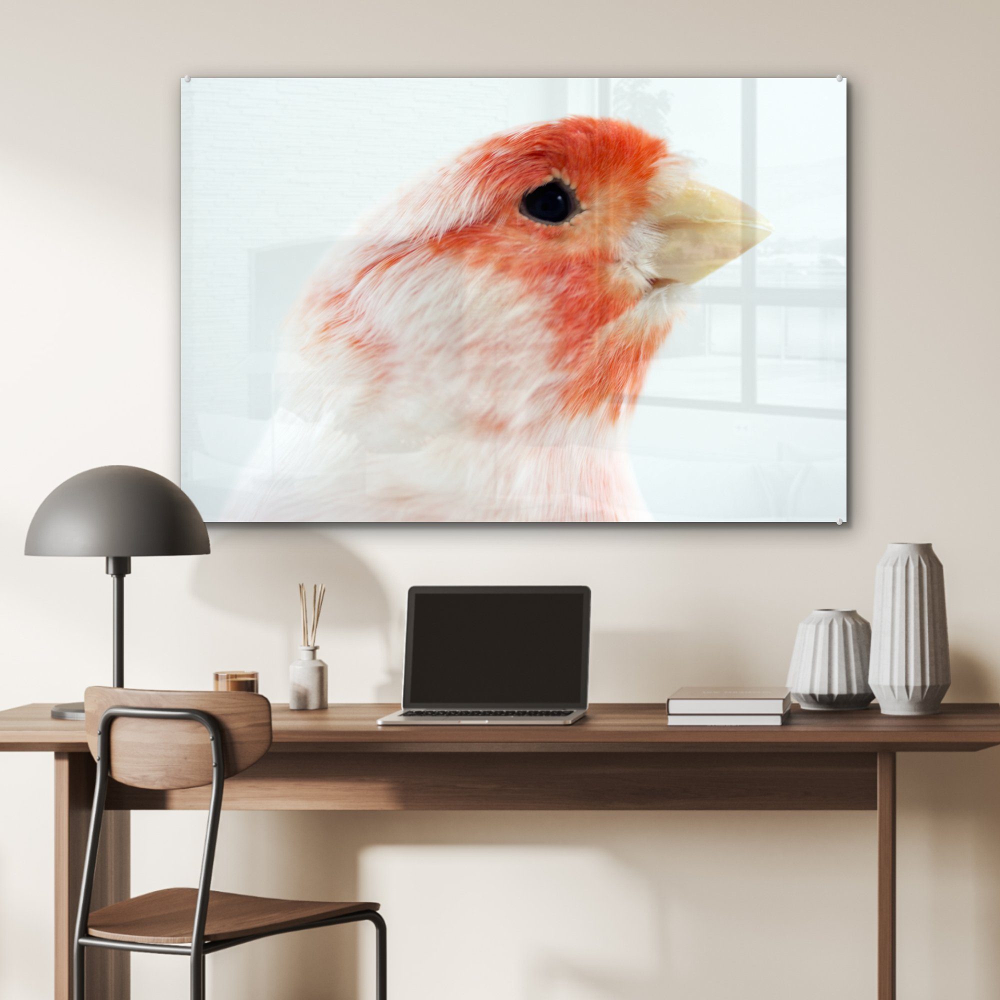 & Acrylglasbilder Acrylglasbild Roter Schlafzimmer weißer Kanarienvogel, Wohnzimmer und St), MuchoWow (1