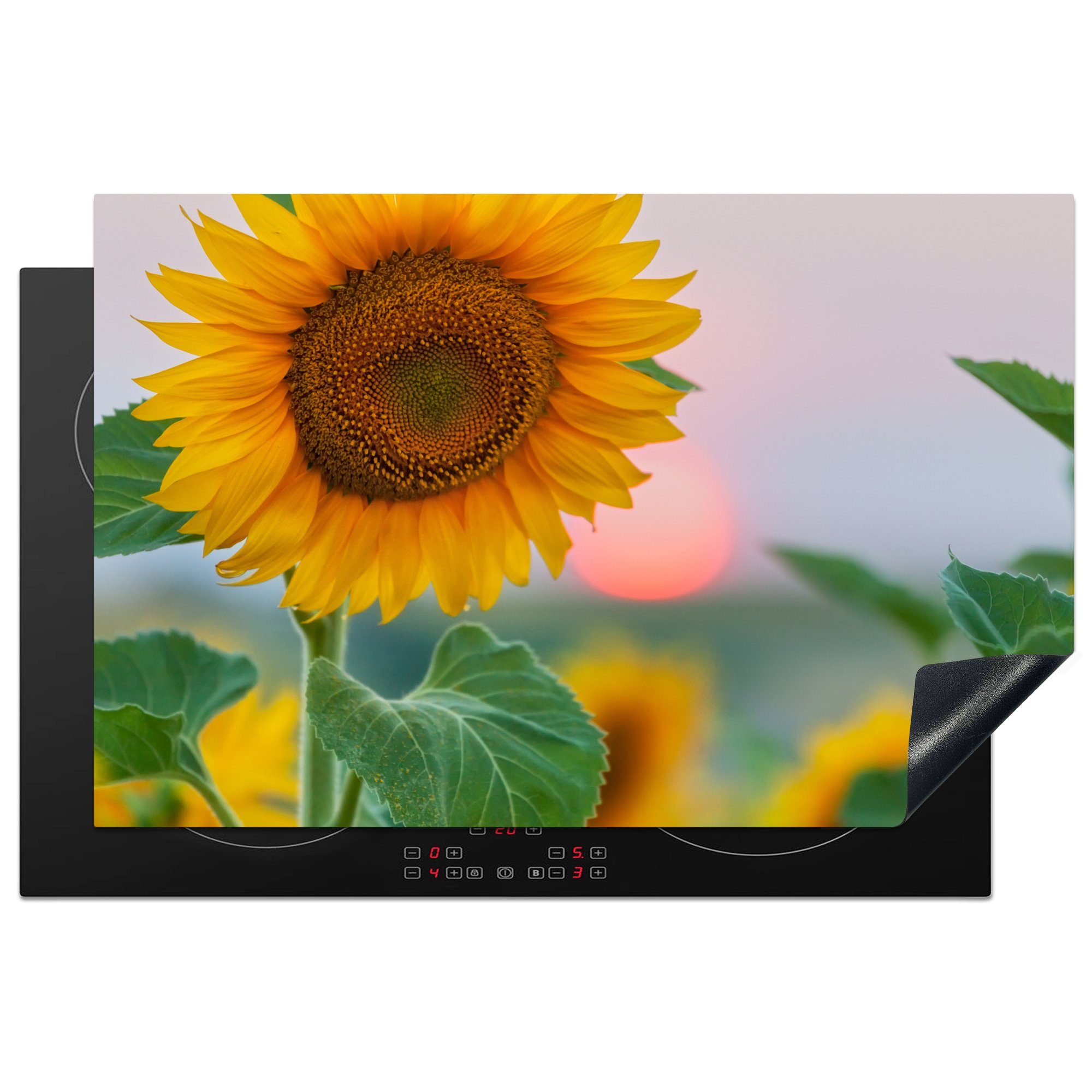 MuchoWow Herdblende-/Abdeckplatte Nahaufnahme einer Sonnenblume bei Sonnenuntergang, Vinyl, (1 tlg), 81x52 cm, Induktionskochfeld Schutz für die küche, Ceranfeldabdeckung
