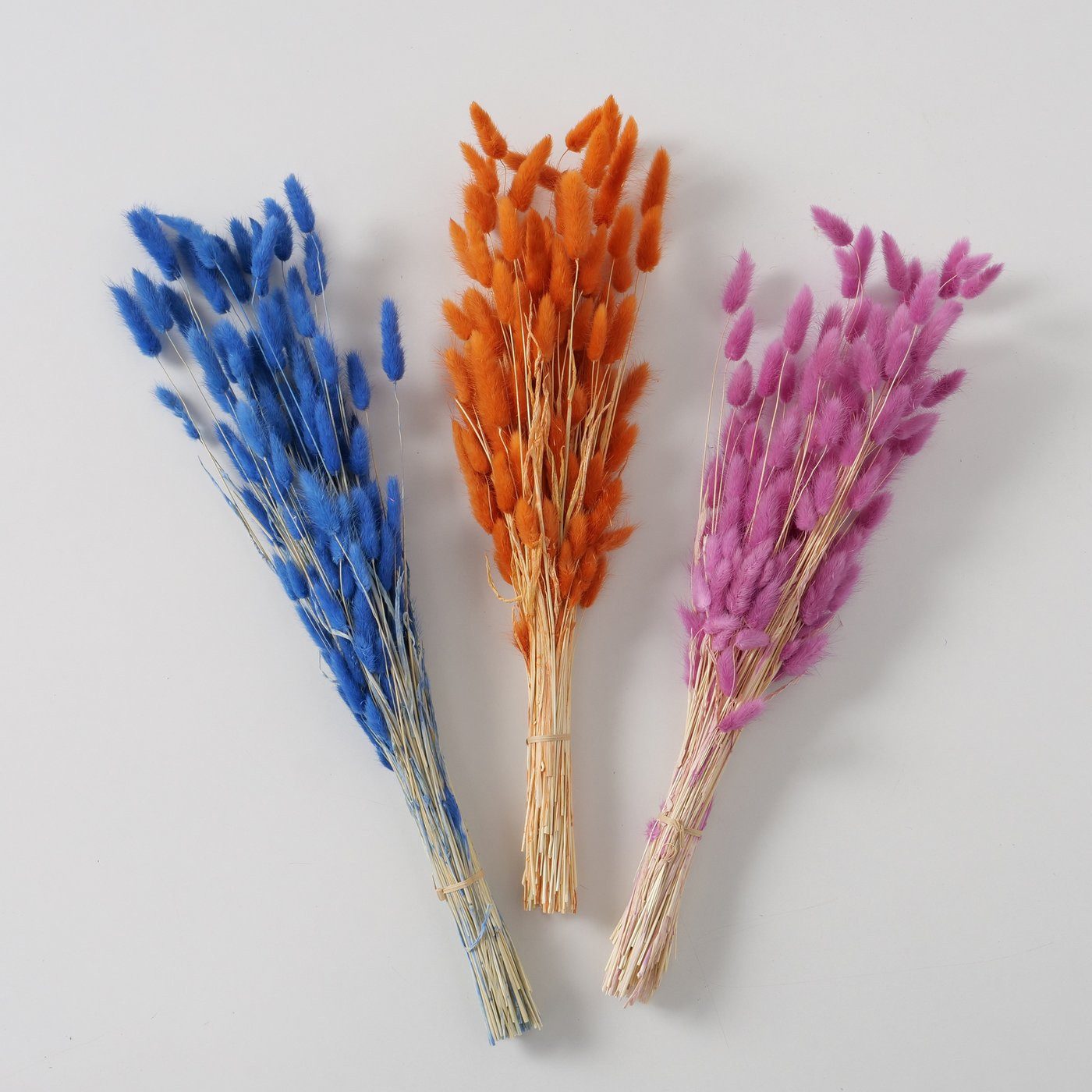 Trockenblume 3er-Pack Samtgras, Dekozweige, echte getrocknete Blumen