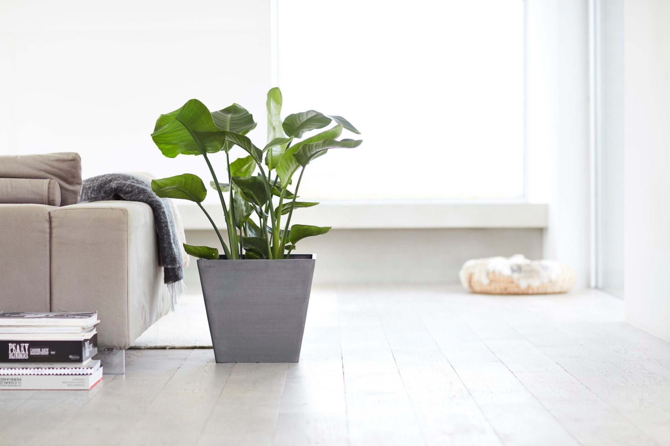 ECOPOTS Blumentopf ROTTERDAM Grey, BxTxH: 40x40x35 cm