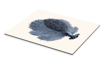 Posterlounge Alu-Dibond-Druck Patruschka, Blaue Koralle, Fächer, Wohnzimmer Skandinavisch Illustration