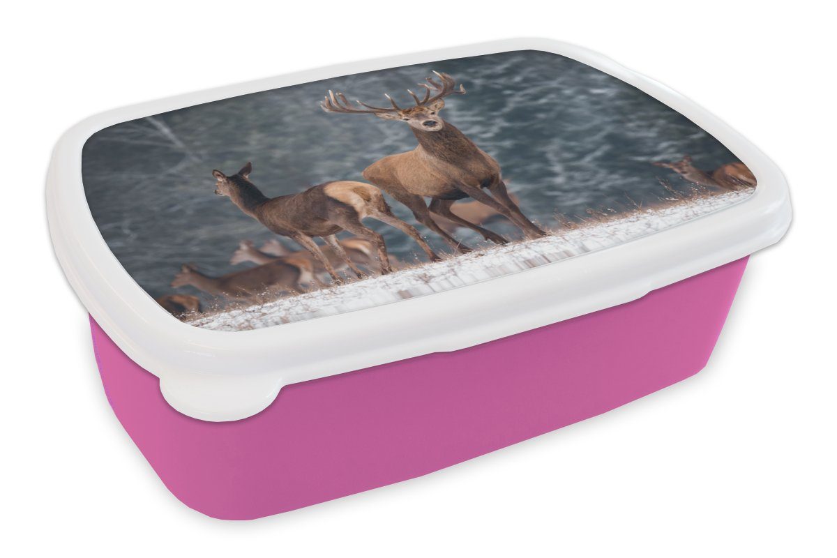 Brotdose Lunchbox rosa Natur, Waldtiere Hirsche (2-tlg), Kunststoff Snackbox, - für Kinder, Mädchen, - - Kunststoff, - Brotbox Erwachsene, Landschaft MuchoWow Schnee - Winter