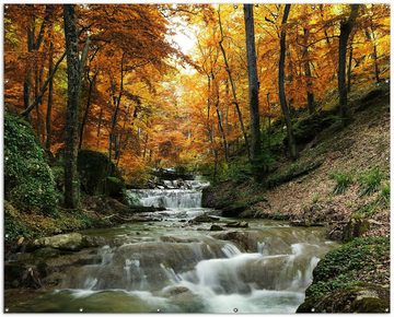 Wallario Sichtschutzzaunmatten Kleiner Bach über Steine im Herbstwald