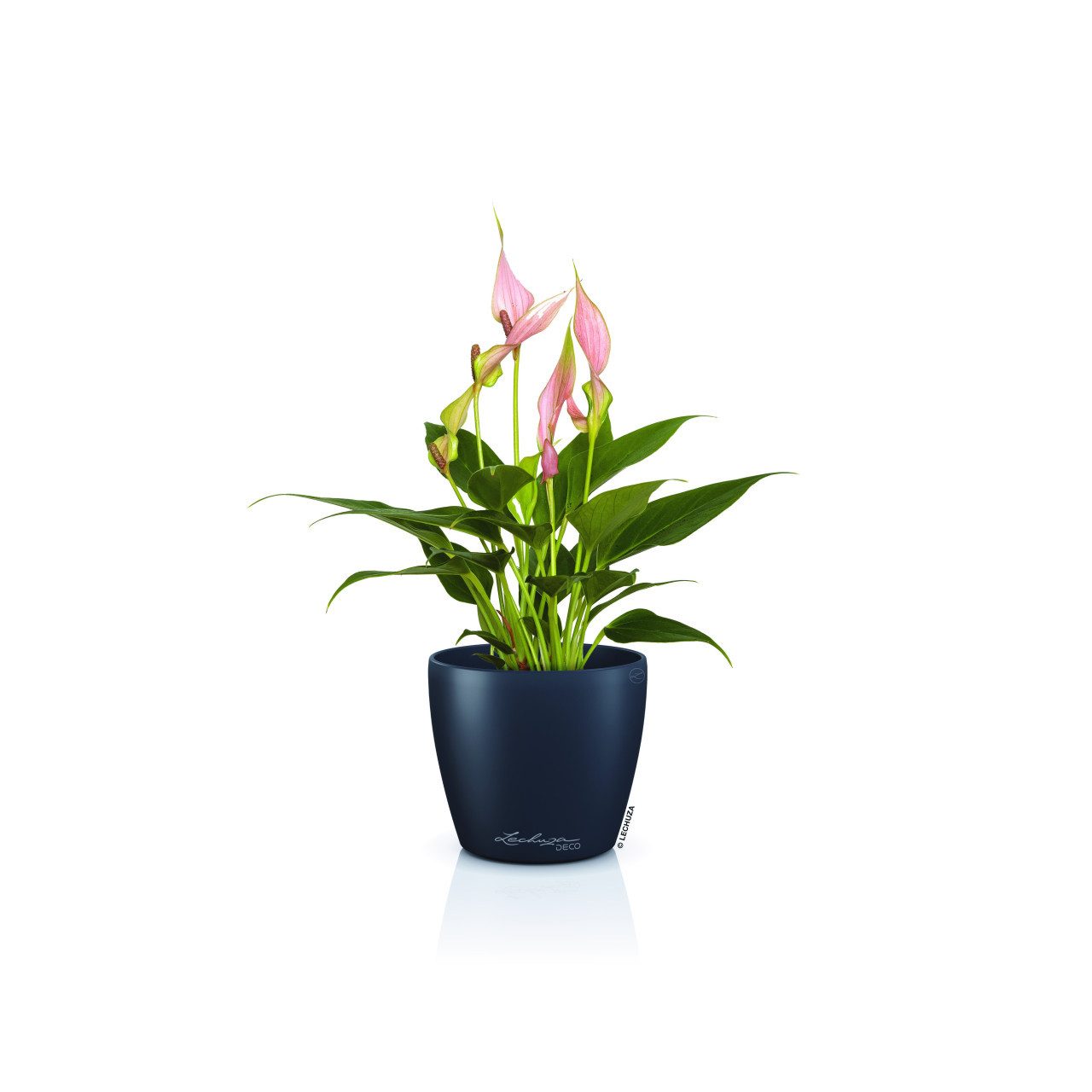 Lechuza® Blumentopf Lechuza Pflanztopf Deco 10 Ø 11,1 x 10 cm