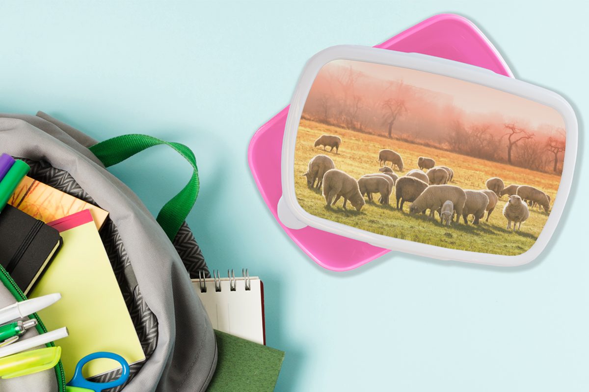 MuchoWow Lunchbox Tiere - Schafe Erwachsene, Snackbox, Kunststoff, rosa Brotbox - Kunststoff Kinder, (2-tlg), Mädchen, Gras, für Brotdose