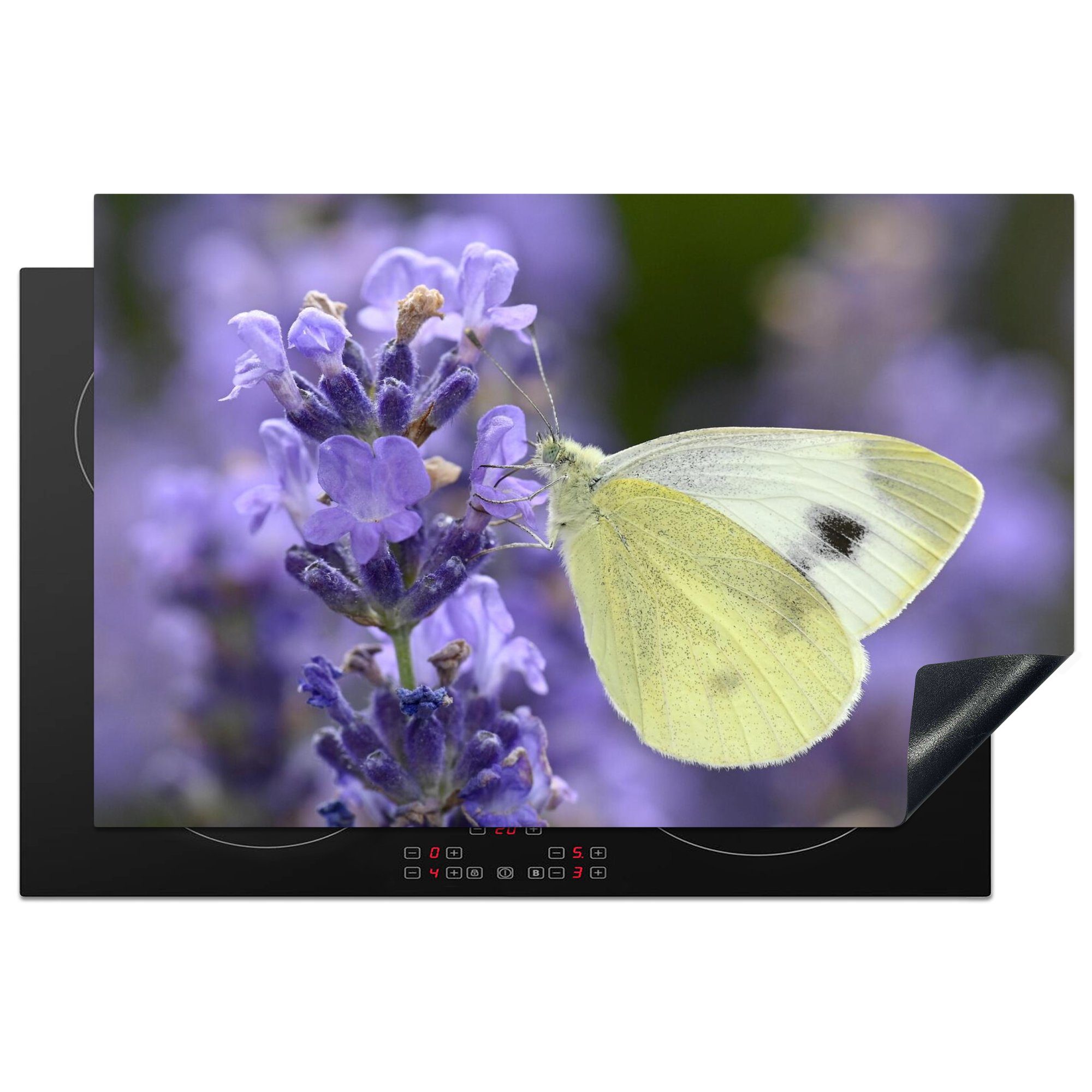 MuchoWow Herdblende-/Abdeckplatte Weißer Schmetterling trinkt Lavendelnektar, Vinyl, (1 tlg), 81x52 cm, Induktionskochfeld Schutz für die küche, Ceranfeldabdeckung