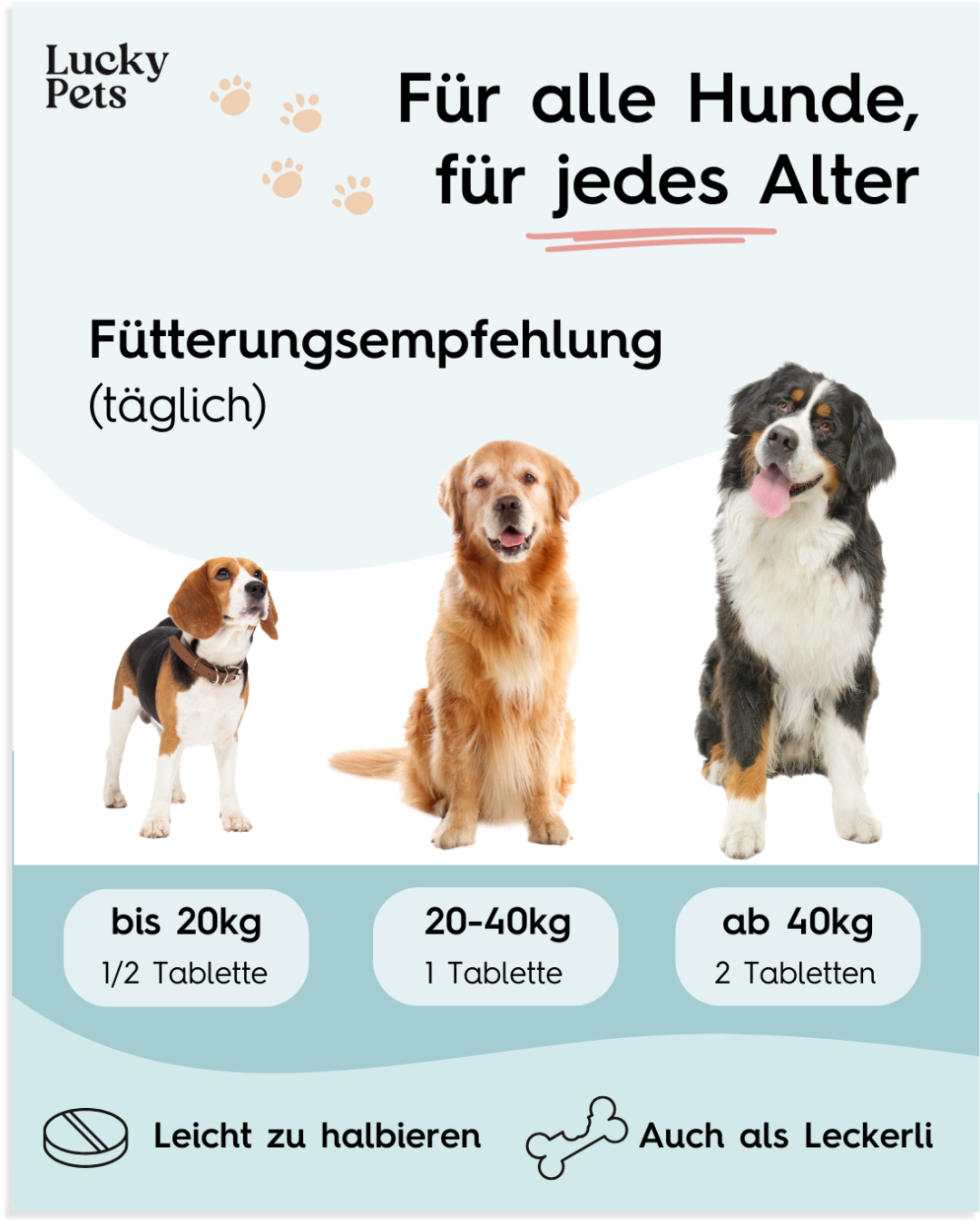 Lucky Pets Gelenktabletten für Hunde – mit Grünlippmuschel und Teufelskralle, Nahrungsergänzungsmittel für: Hunde