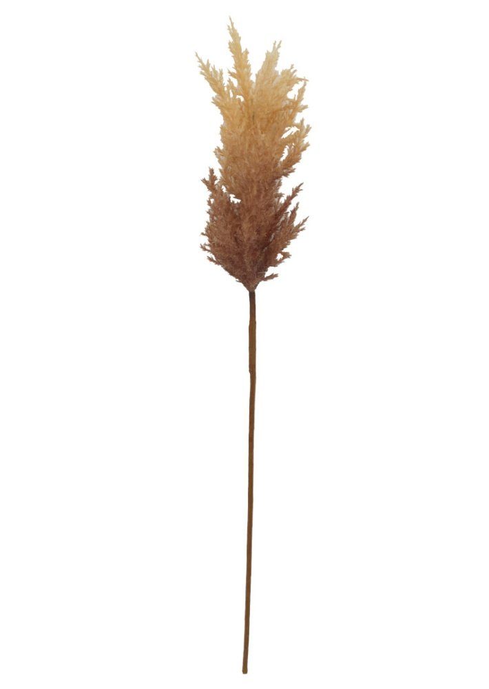 Kunstblume *naturgetreue Kunstpflanze / Strauch / Zweig* Schilfrohr (Phragmites), 2474U, Höhe 90 cm, künstlich, naturgetreu, täuschend echt