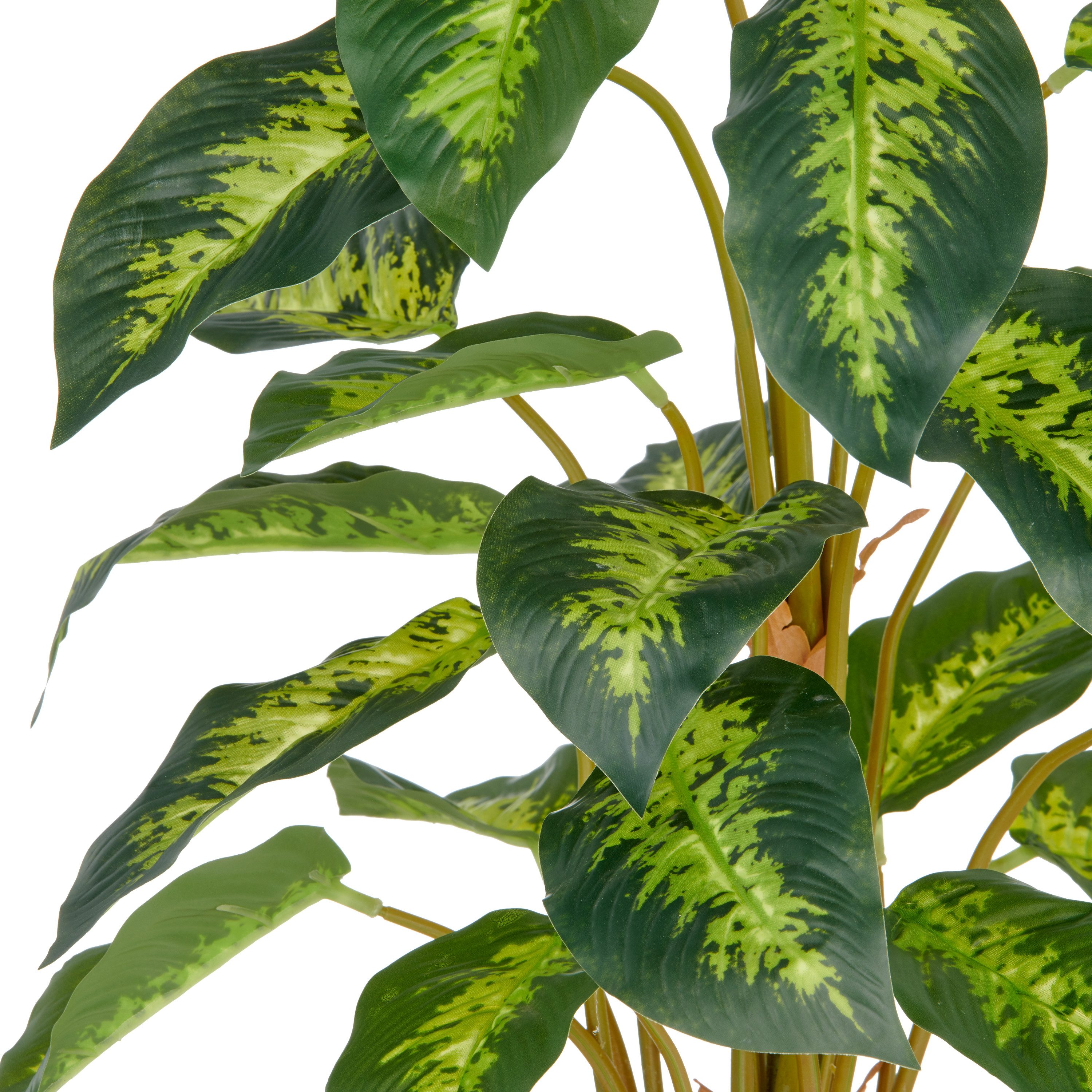 Kunstpflanze Dieffenbachia reeva, Creativ green, Höhe günstig online kaufen