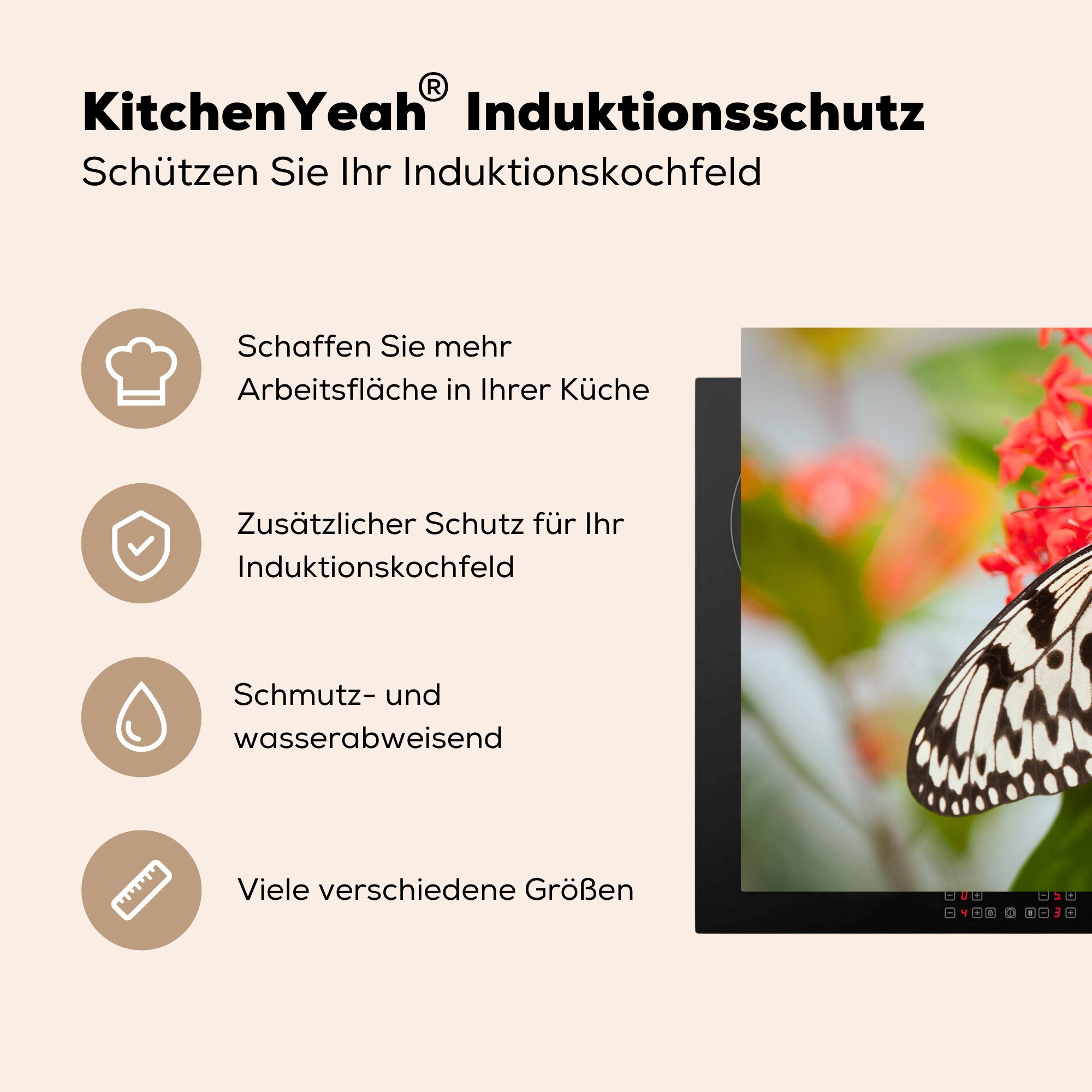 Flügeln, Schmetterling küche, Ceranfeldabdeckung Herdblende-/Abdeckplatte Idea tlg), leuconoe ausgebreiteten Vinyl, Induktionskochfeld 81x52 die (1 cm, für Schutz MuchoWow mit