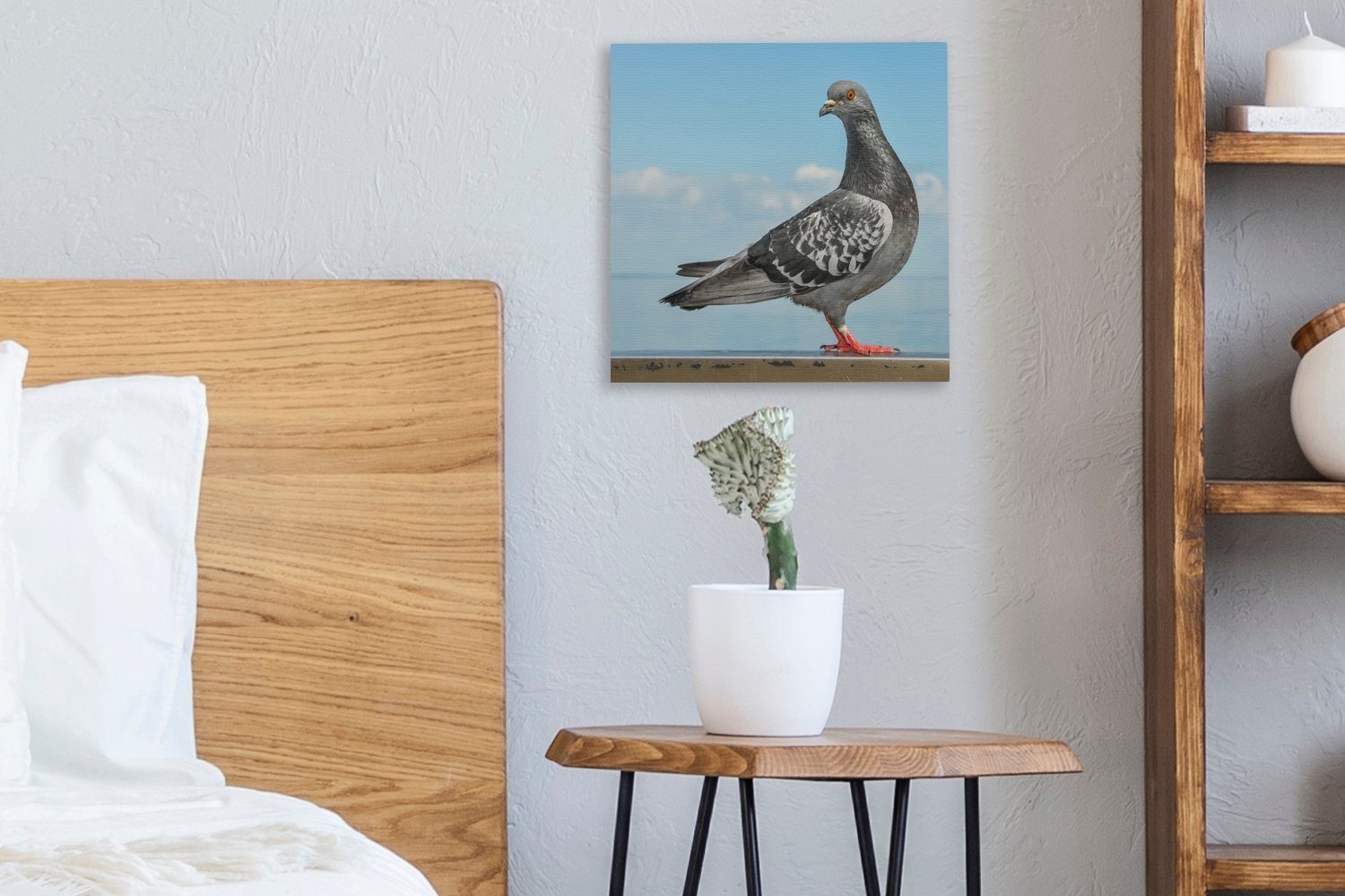 OneMillionCanvasses® Leinwandbild Eine schöne Taube Leinwand (1 St), auf Mauer Wohnzimmer für am Meer, Schlafzimmer einer sitzt Bilder
