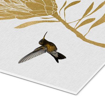Posterlounge Forex-Bild Orara Studio, Kolibri & Blume I, Minimalistisch Illustration