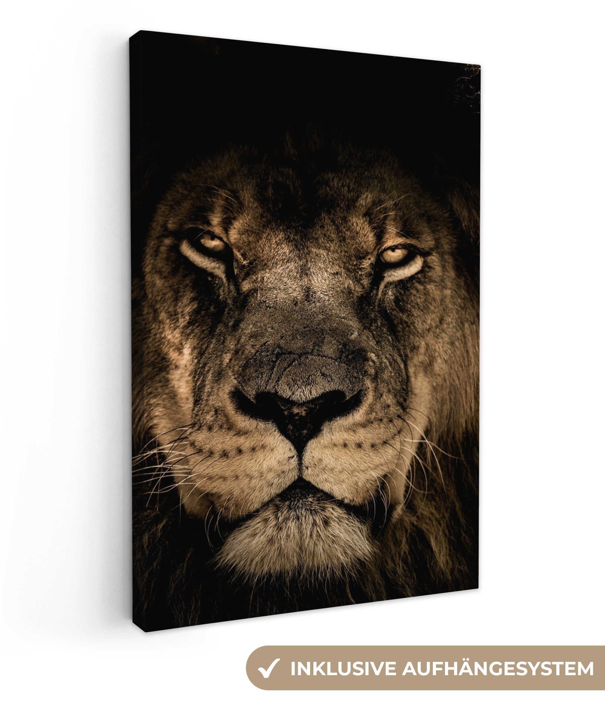 OneMillionCanvasses® Leinwandbild Löwe - Tiere - Schwarz - Porträt, Fotodruck (1 St), Leinwand Canvas Wandbild, Wanddekoration 20x30 cm