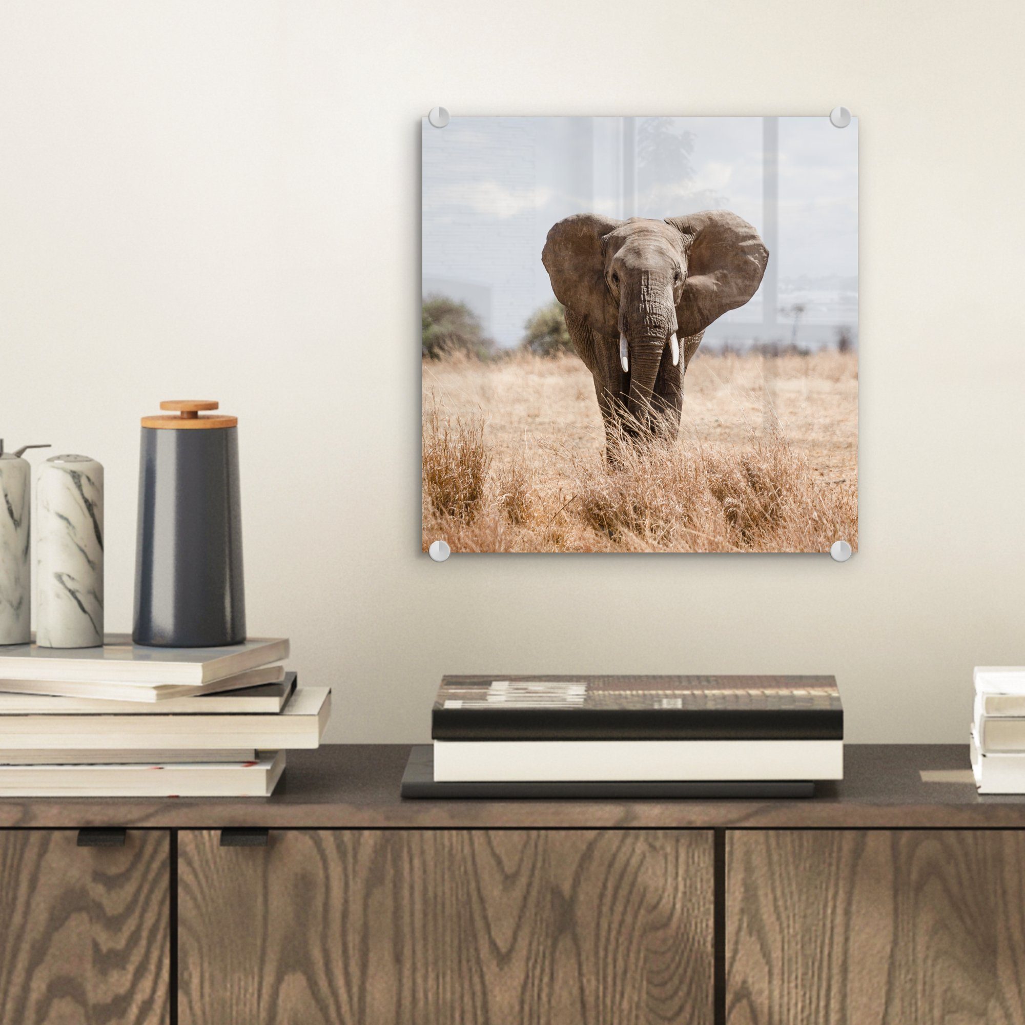 Acrylglasbild - Natur Foto Glas St), Glas Bilder (1 - Wandbild Glasbilder Elefant Wanddekoration - Porträt, - - auf - MuchoWow Tiere auf