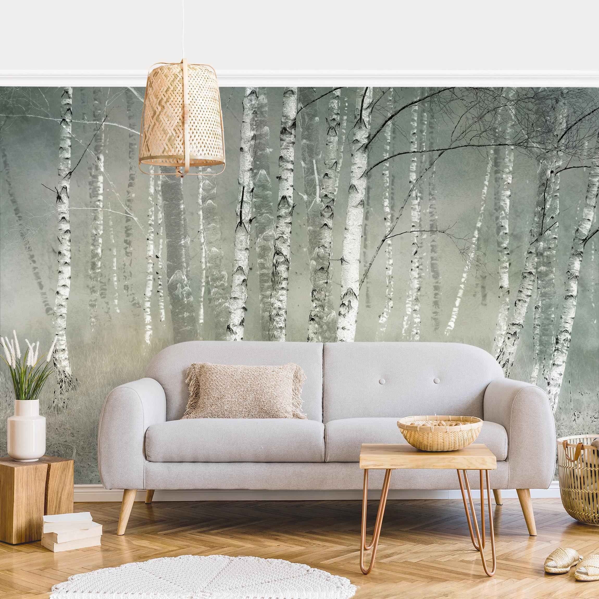 Bilderdepot24 Fototapete Wald Ruhender Birkenwald Natur Landschaft Waldtapete Bäume, Glatt, Matt, (Vliestapete inkl. Kleister oder selbstklebend), Wohnzimmer Schlafzimmer Küche Flur Motivtapete Vliestapete Wandtapete