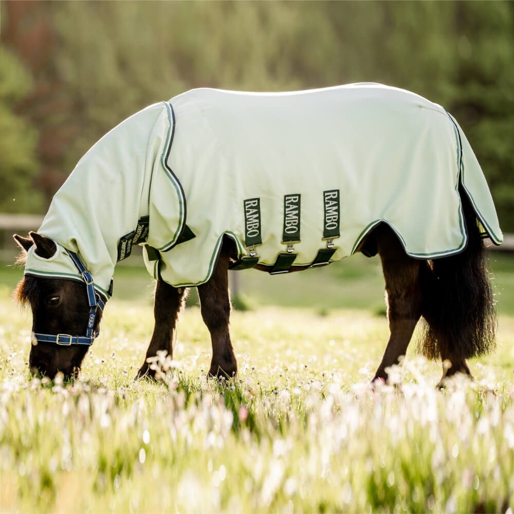 Horseware Pferde-Übergangsdecke Horseware Rambo Petite Hoody