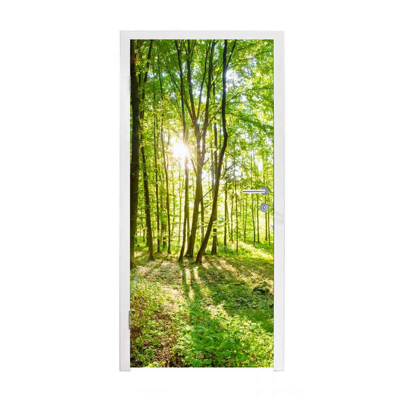 MuchoWow Türtapete »Natur - Bäume - Wald - Grün - Sonnenlicht«, bedruckt, (1 St), Selbstklebende Türfolie Türposter Türaufkleber Klebefolie Türklebefolie