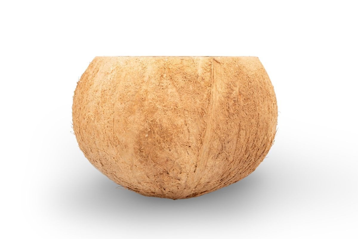 Thumbnail - NaDeco Bastelnaturmaterial Kokos Becher Natur, Durchmesser 10–13 cm, Höhe von 8–10 cm