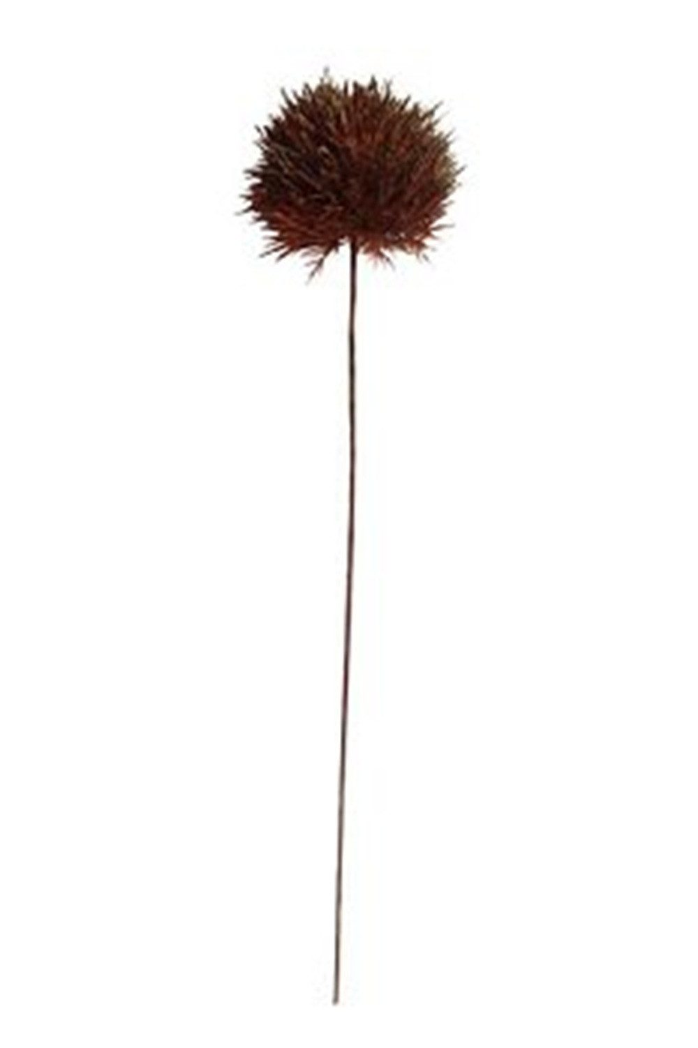 Kunstblume Kaheku Dekoblume "Adan Allium", braun, 63cm, KAHEKU-1202006411, Kaheku