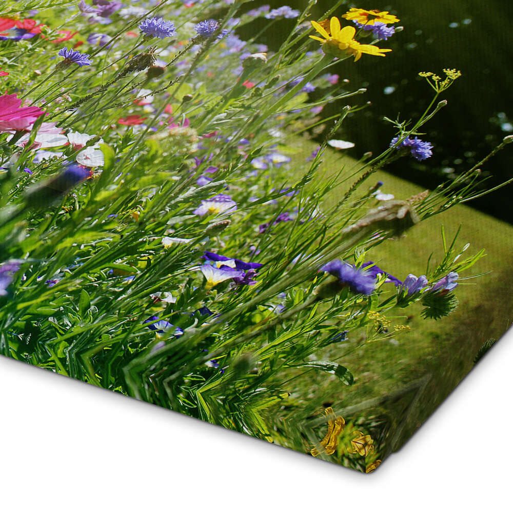 Posterlounge Wandbild Auf einer sonnigen Wildblumenwiese, Lichtspielart, erhältlich als Poster, Leinwandbild, Wandsticker oder Acrylglasbild – Bild 3 von 5
