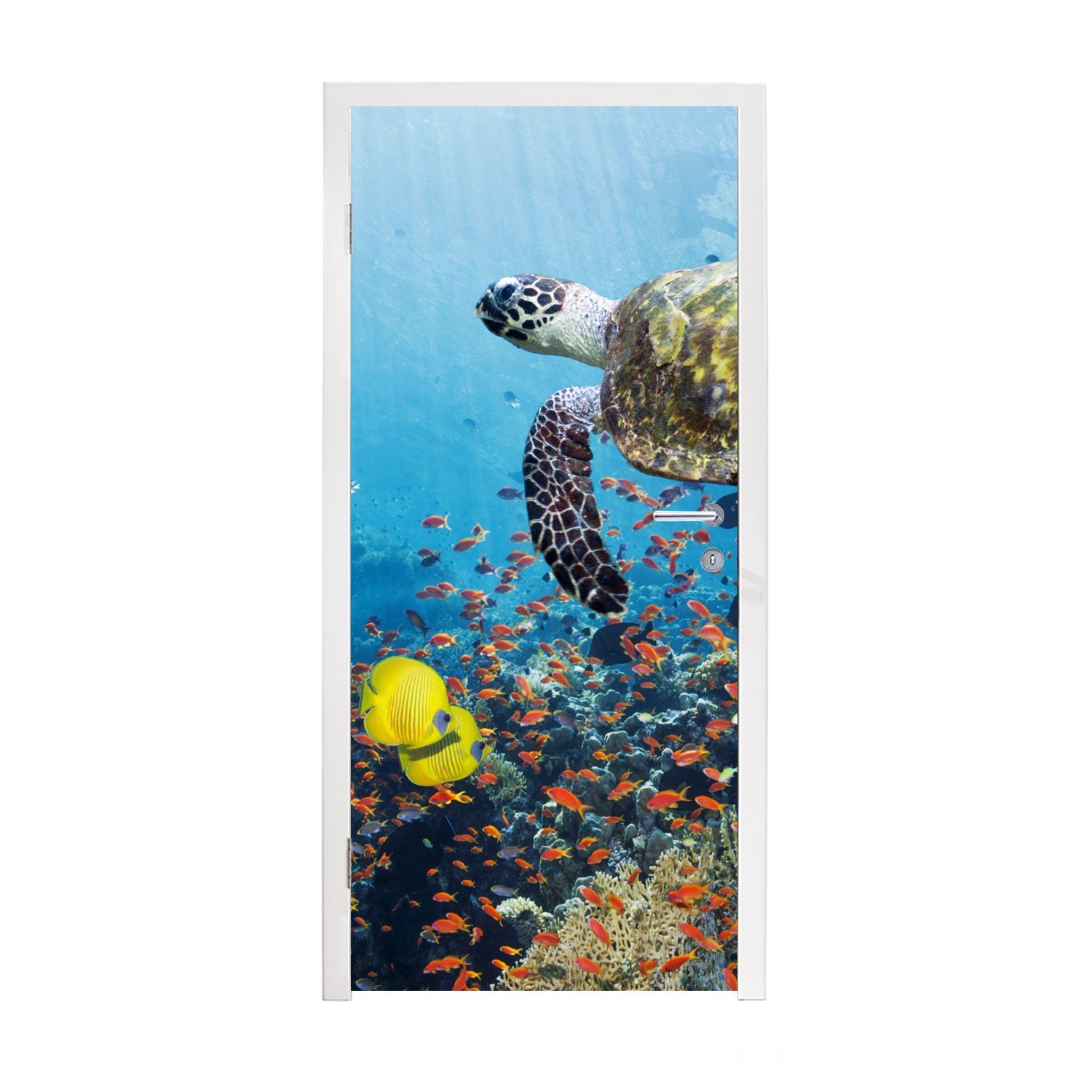 am Schildkröte (1 cm Türtapete St), 75x205 Türaufkleber, Fototapete MuchoWow für Tür, Korallenriff, bedruckt, Matt,