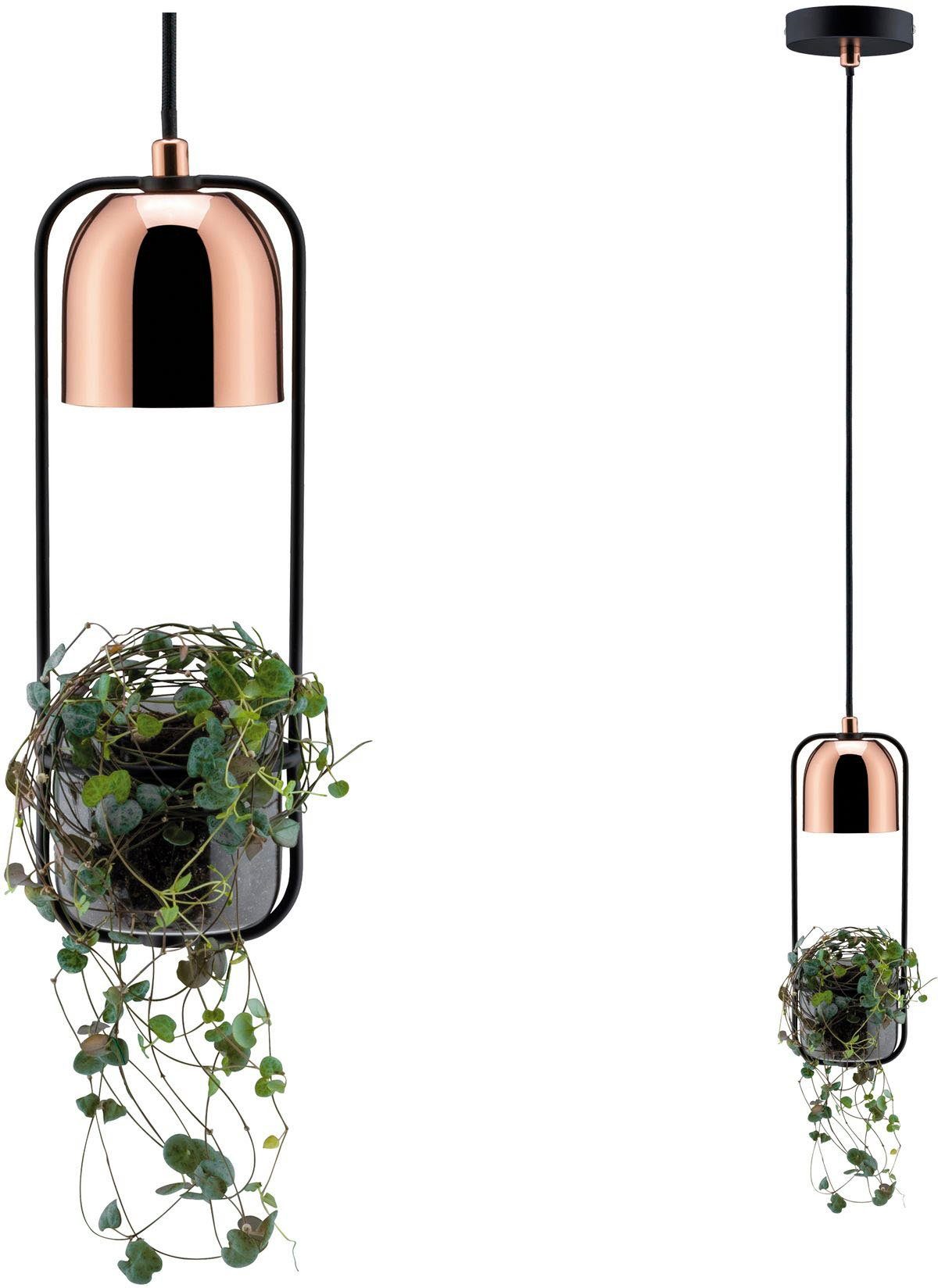 Paulmann LED Pendelleuchte Fanja, ohne Leuchtmittel, GU10, 1-flammig Pflanzenleuchte Schwarz/Kupfer. Reduzierter Preis € 60,49. Unverbindliche Preisempfehlung € 81,99