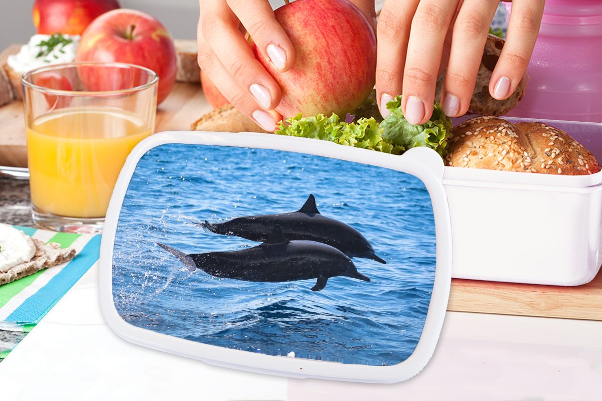 - Kunststoff, Delfin Kinder Meer weiß Jungs Lunchbox (2-tlg), für Mädchen und - Tier, MuchoWow Brotbox für Erwachsene, Brotdose, und