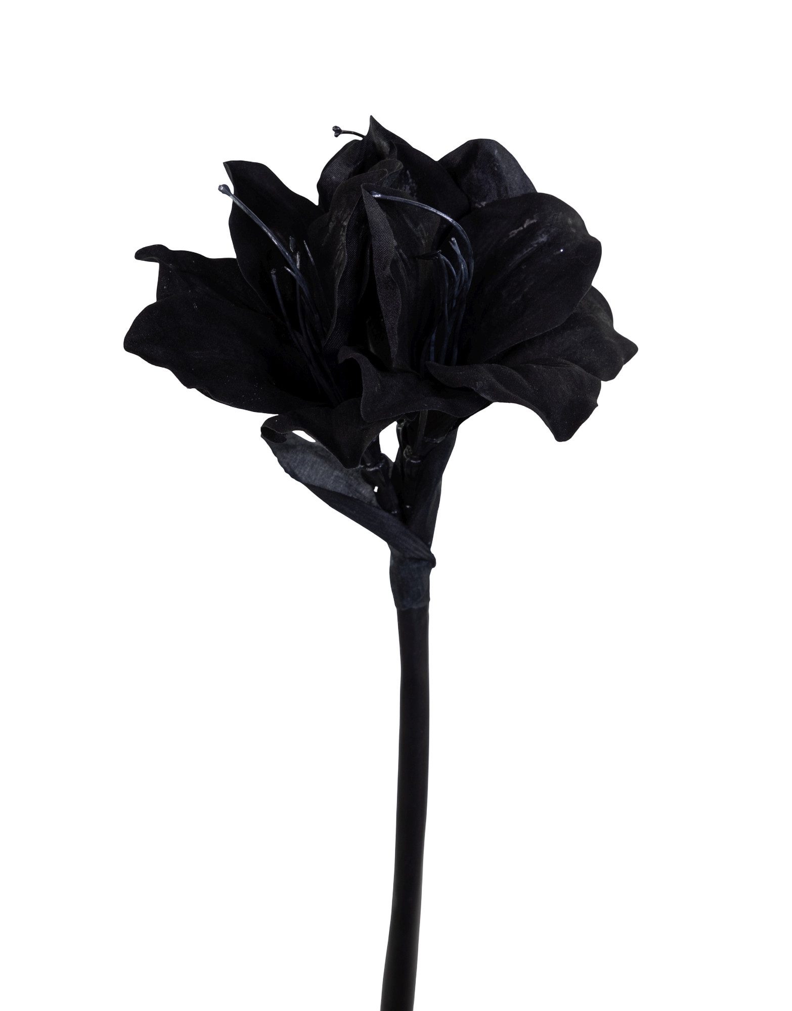 Kunstblume Amaryllis 50cm schwarz GA Dekoblumen günstig online kaufen