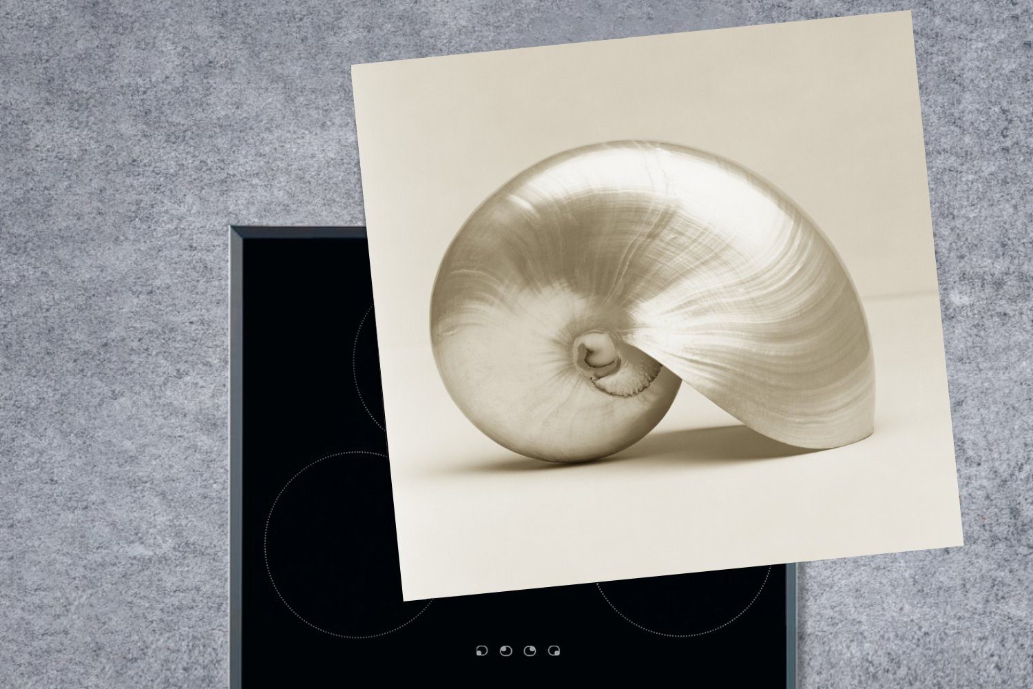 Herdblende-/Abdeckplatte Vinyl, cm, küche Muschel -Weiß, (1 tlg), Ceranfeldabdeckung, -Perle Arbeitsplatte 78x78 für MuchoWow