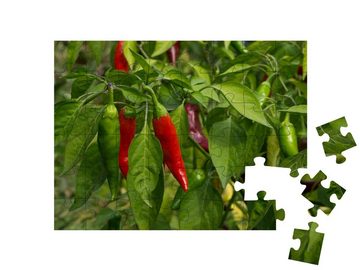 puzzleYOU Puzzle Strauch mit roten und grünen Paprikaschoten, 48 Puzzleteile, puzzleYOU-Kollektionen Chilis