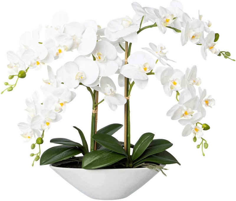 Kunstorchidee Deko-Orchidee Phalaenopsis in Keramikschale Orchidee Phalenopsis, Creativ green, Höhe 53 cm