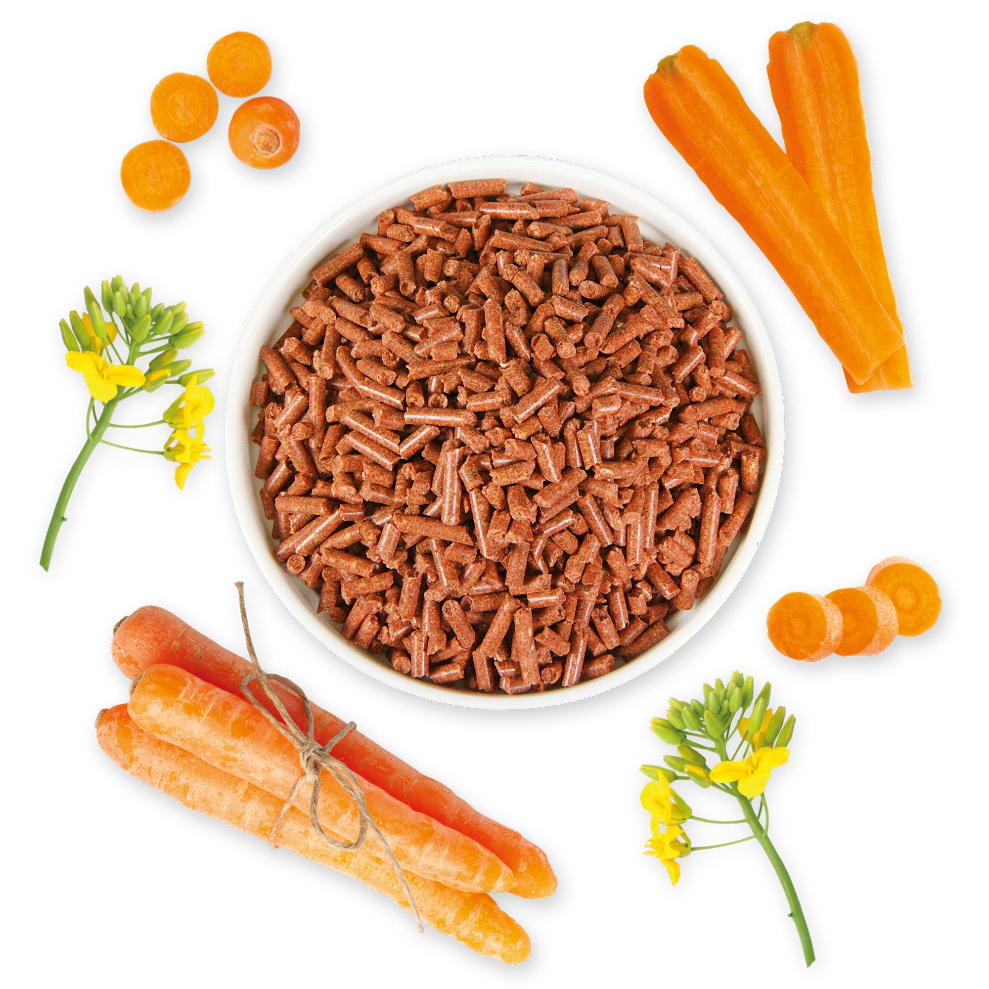 Schecker Trocken-Karotten-Granulat – die natürliche Vitaminquelle für Hunde, Ergänzungsfutter für: Hunde, ohne Zusatzstoffe