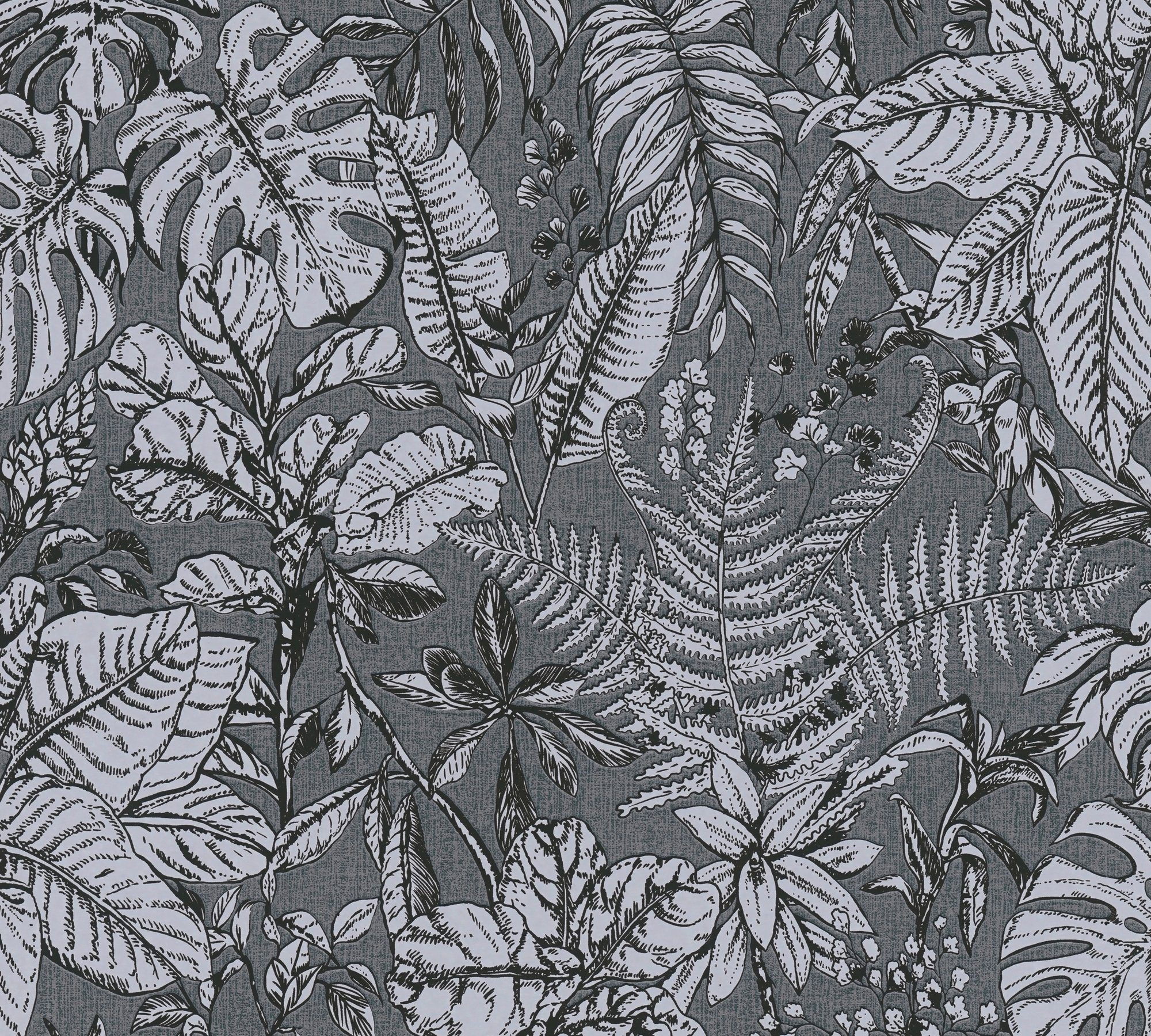Dschungel, Dschungel botanisch, grau/weiß Hechter Vliestapete Designertapete Tapete A.S. Daniel Création tropisch,