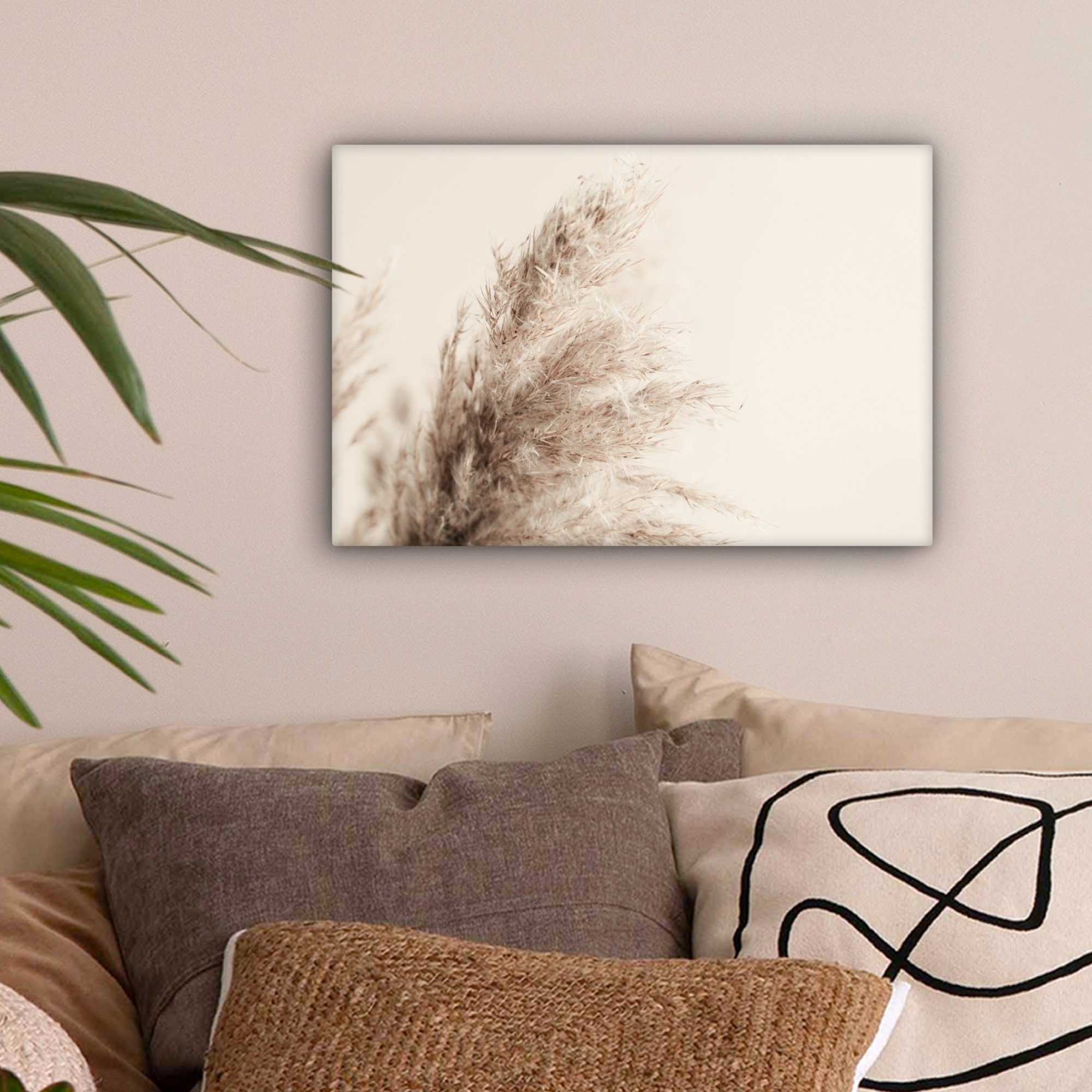 OneMillionCanvasses® Leinwandbild Pflanzen - Pampaswedel - Pampasgras - Bei günstig online kaufen