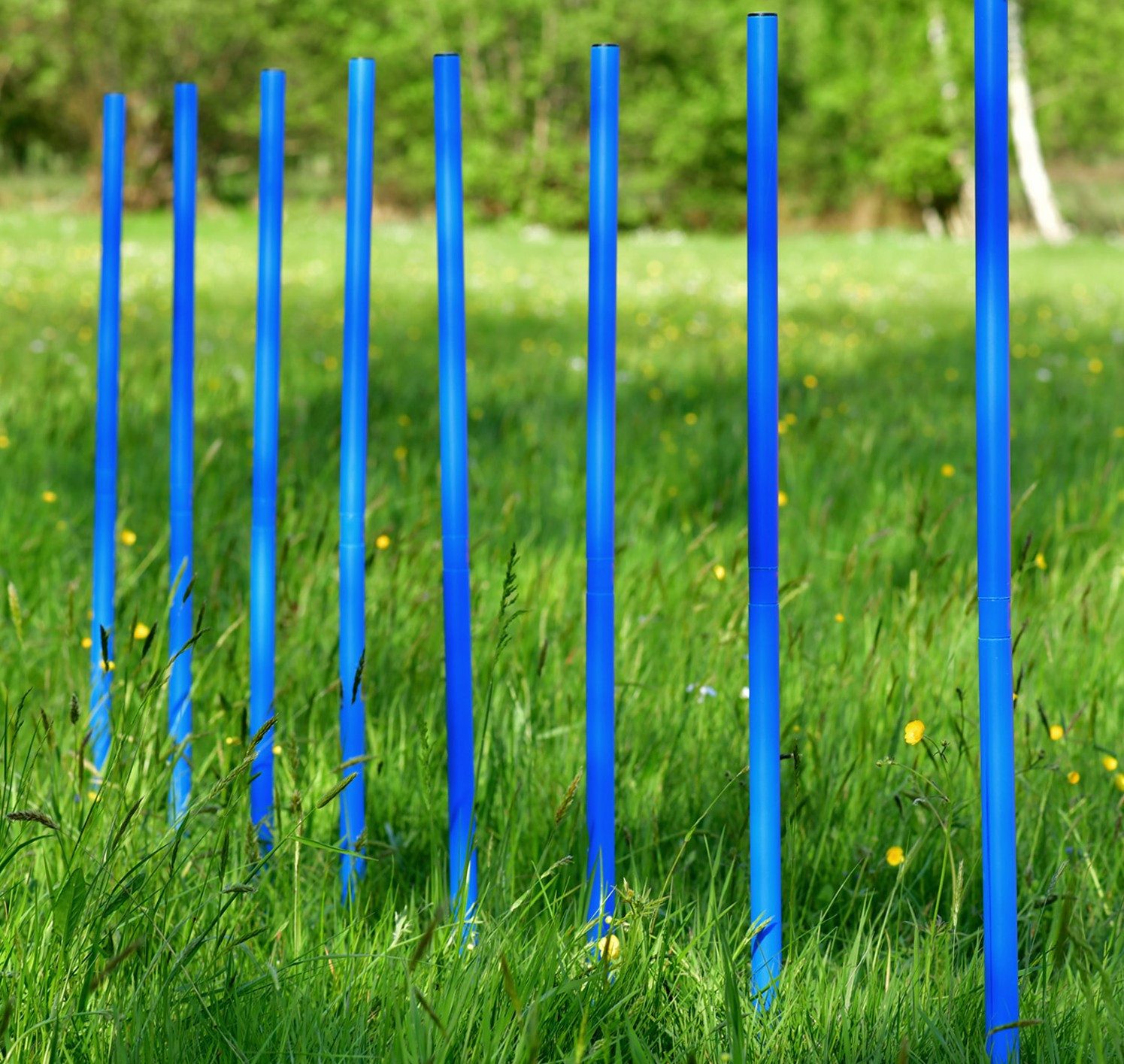 Thumbnail - PfotenWunder Agility-Slalom 10x Agility-Slalom-Set Profi-Set Hunde Groß für große Hunde-Training