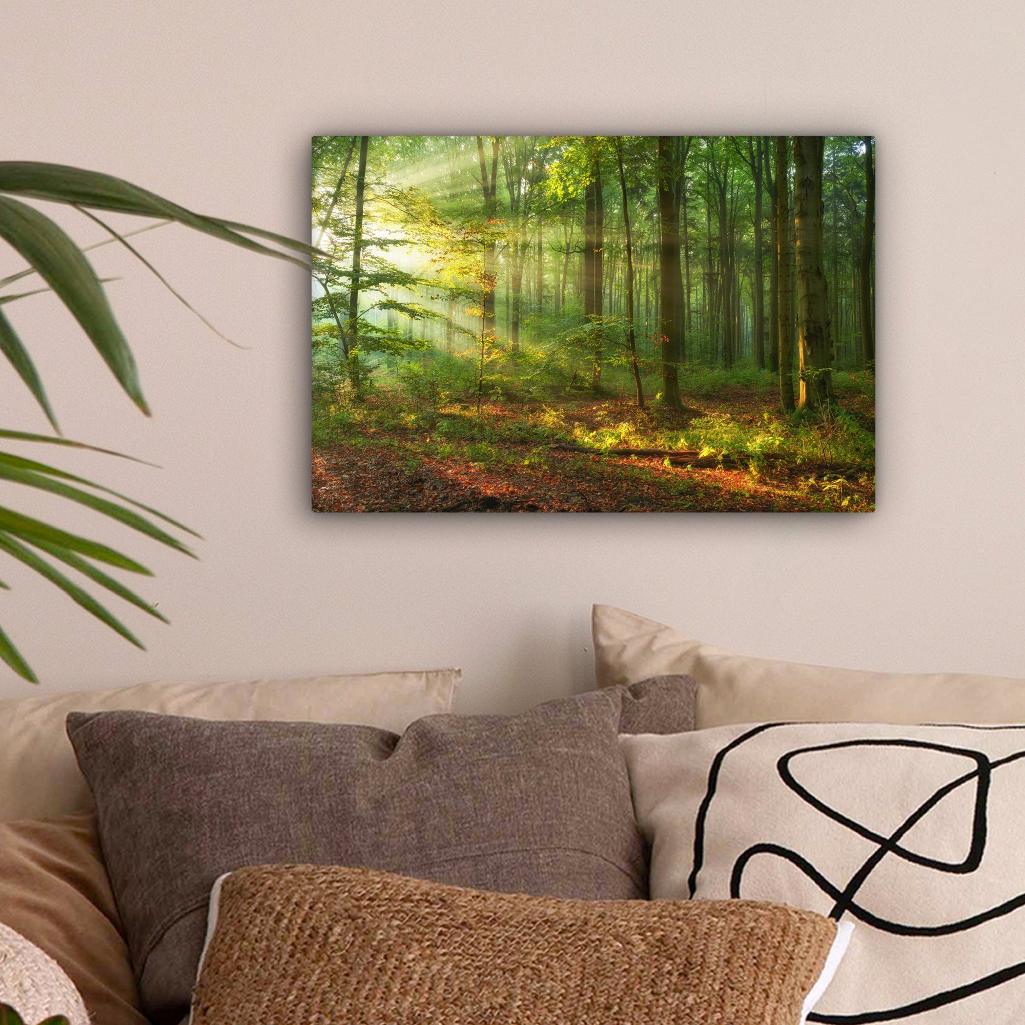 OneMillionCanvasses® Leinwandbild Sonne - Wald - Bäume - Natur - Herbst, Fo günstig online kaufen