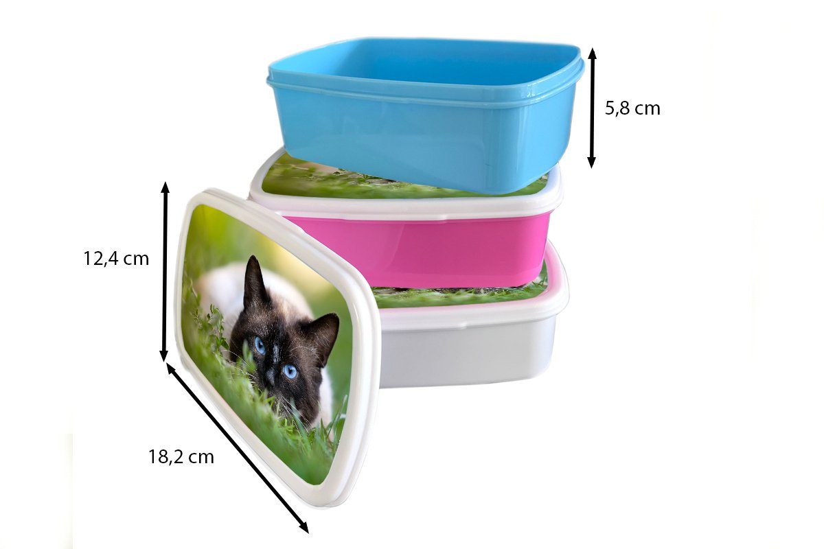 Katze Mädchen, - - Kunststoff, Kunststoff für MuchoWow Porträt, Brotdose Lunchbox Snackbox, Gras (2-tlg), Kinder, Brotbox Erwachsene, rosa