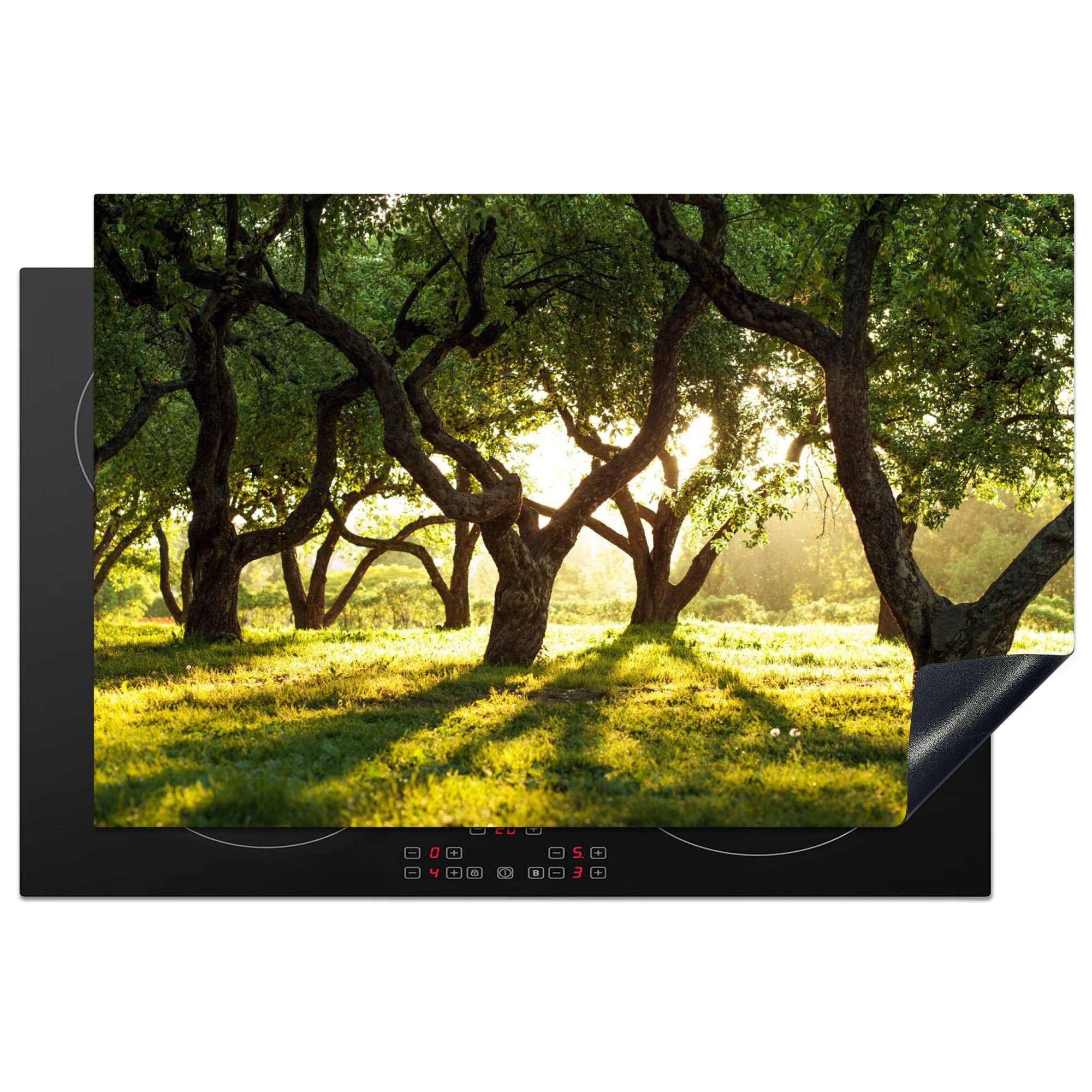 MuchoWow Herdblende-/Abdeckplatte Bäume - Natur - Sonne, Vinyl, (1 tlg), 80x52 cm, Induktionskochfeld Schutz für die küche, Ceranfeldabdeckung