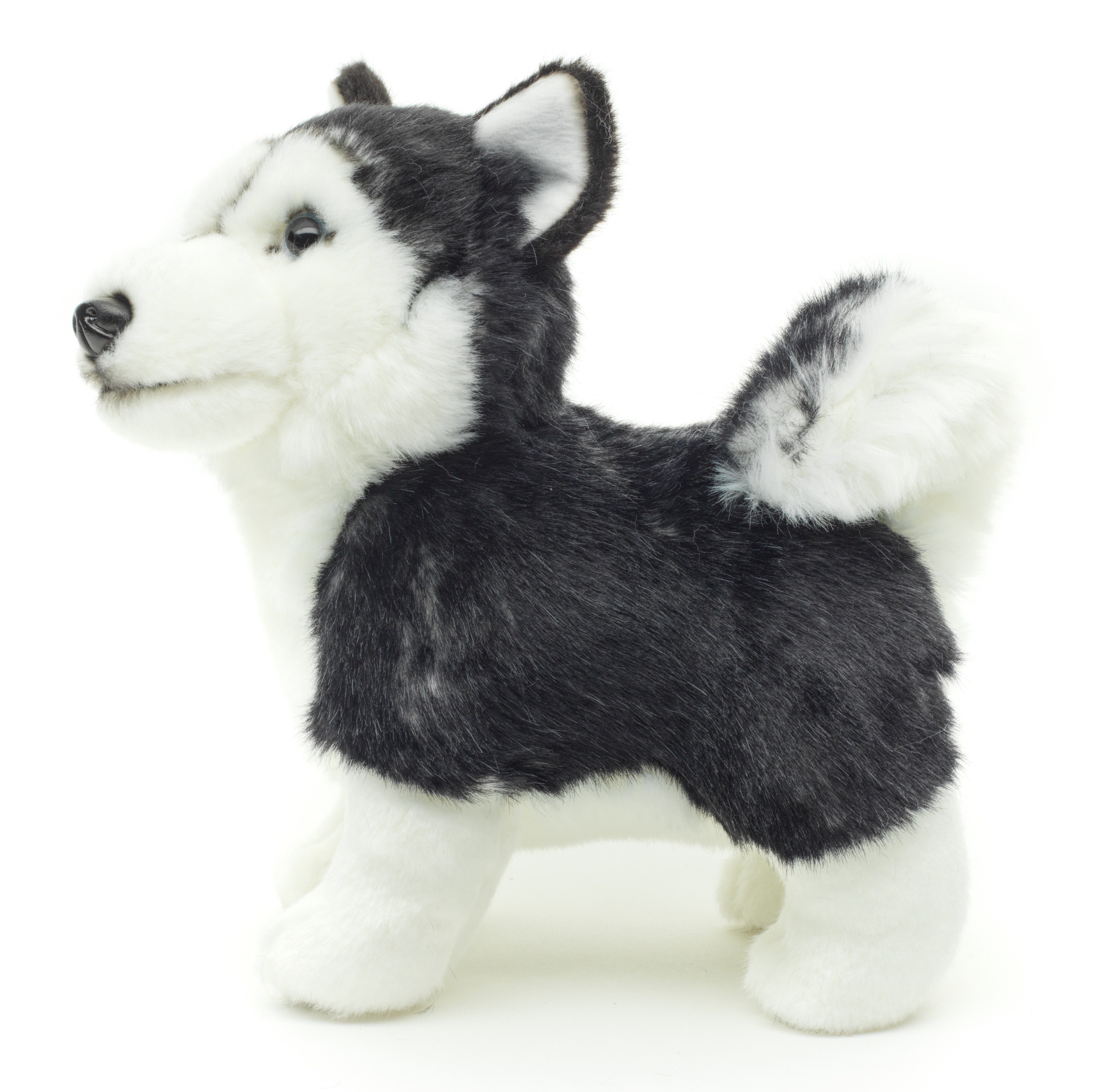 Uni-Toys stehend Husky Plüschtier, - Füllmaterial 100 cm Kuscheltier Plüsch-Hund, zu 24 recyceltes - % Welpe schwarz,