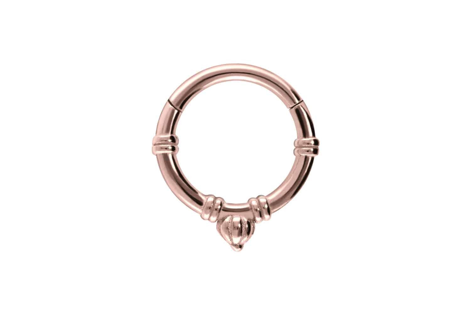 Nasenpiercing Chirurgenstahl Segmentring Clicker RETRO-DESIGN Ohrpiercing Septum
