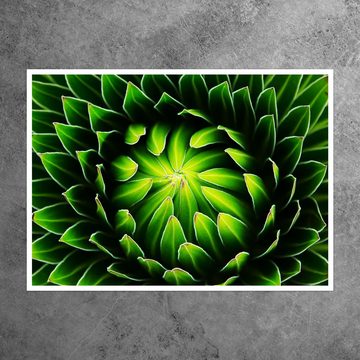 wandmotiv24 Poster Pflanze, Kaktus, grün, Natur (1 St), Wandbild, Wanddeko, Poster in versch. Größen