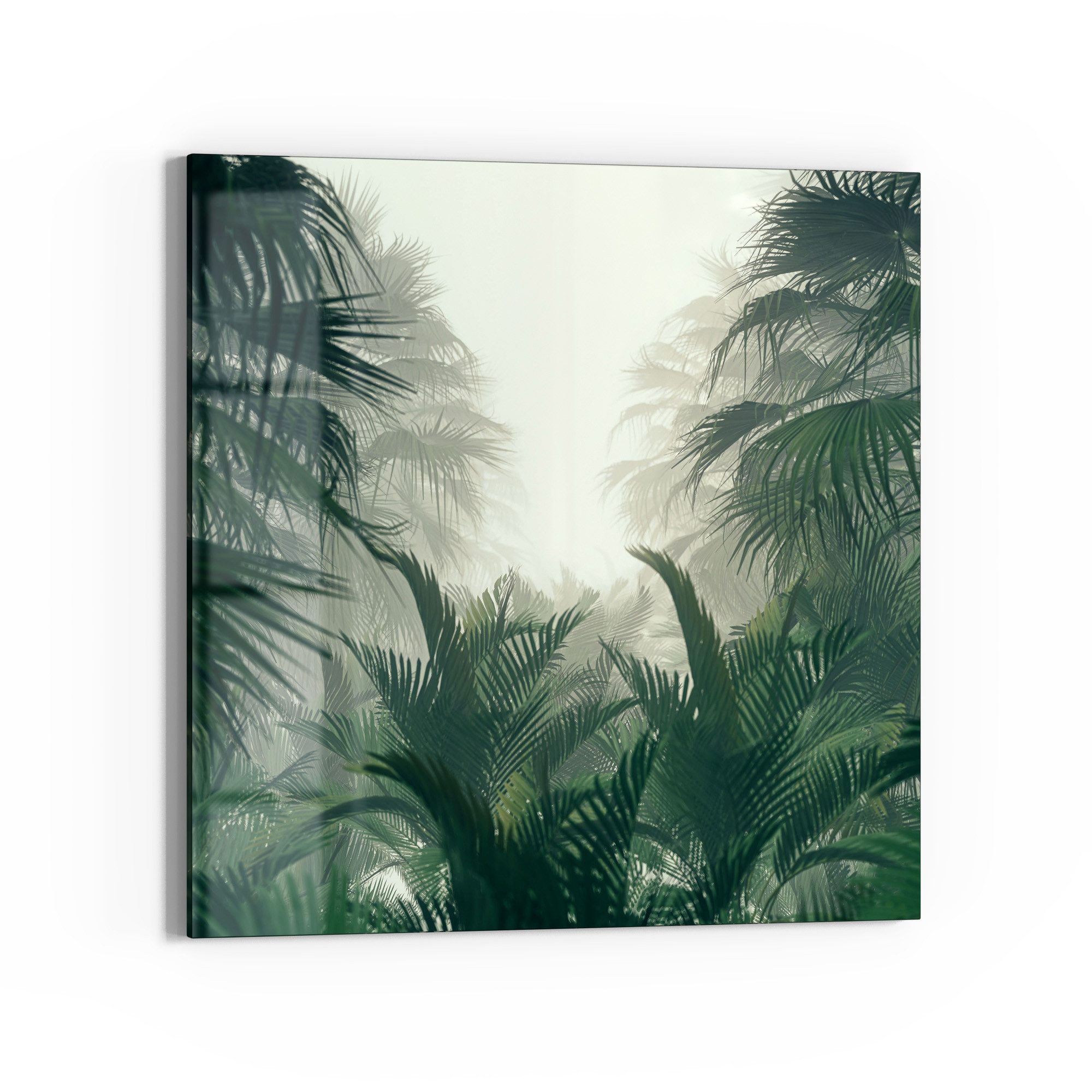 DEQORI Glasbild 'Nebelwaldgeheimnis', 'Nebelwaldgeheimnis', Glas Wandbild Bild schwebend modern