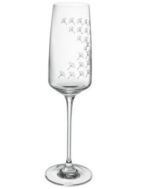 Joop! Sektglas JOOP! LIVING - FADED CORNFLOWER Champagnerglas 2er Set, Glas