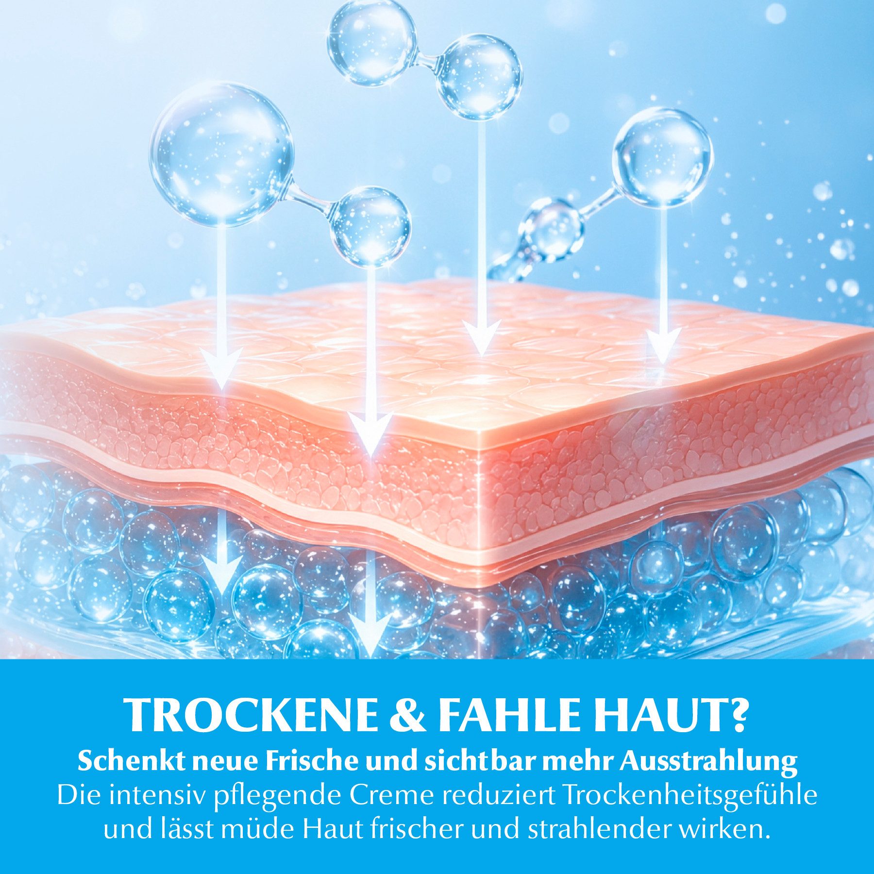 DR RASHEL Tagescreme Hyaluron Gesichtscreme Hyaluronic Acid Moisturizer Feuchtigkeitscreme, 2-tlg., Tagescreme, gesichtscreme, Tagespflege, Anti-Falten