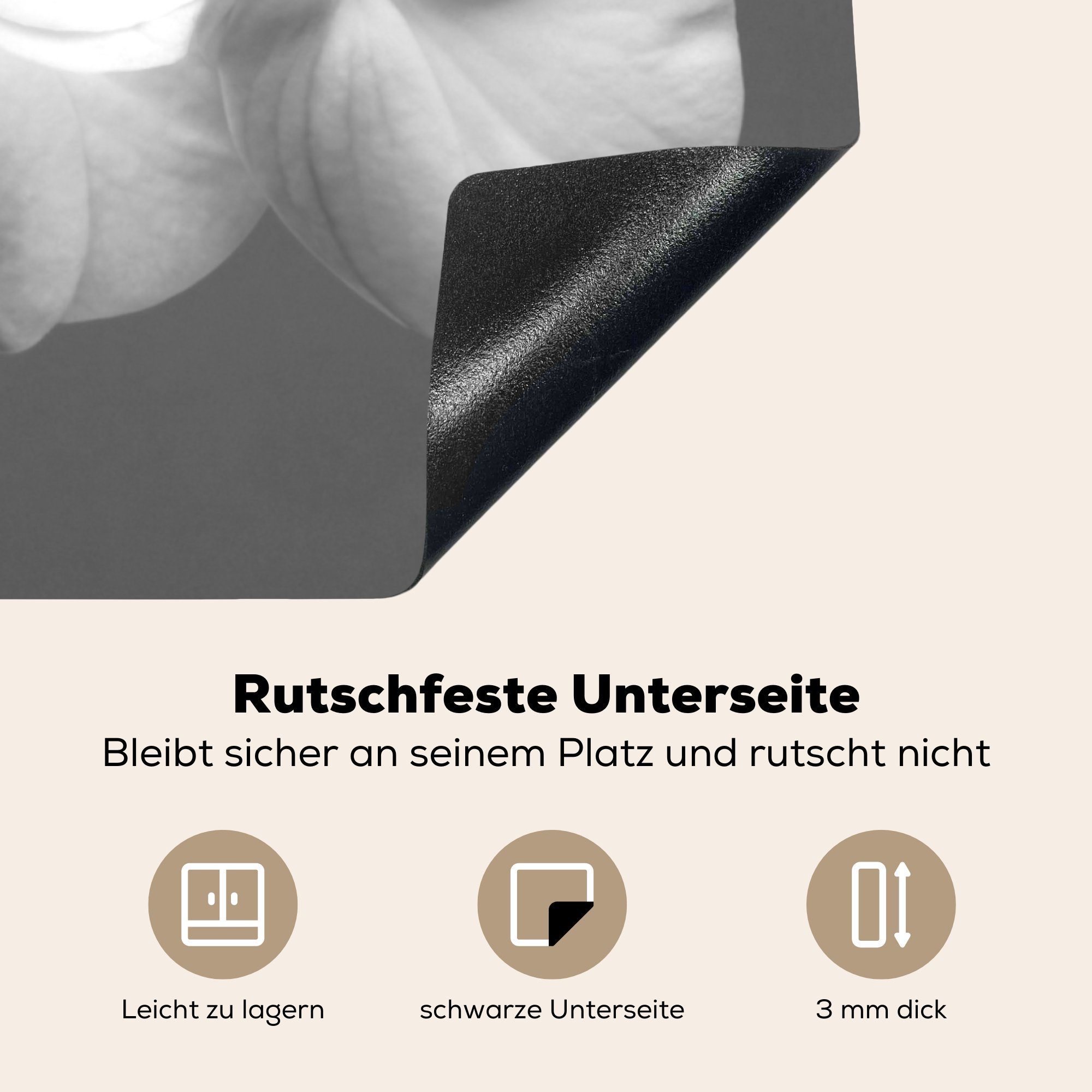 Orchidee cm, Induktionskochfeld küche, (1 - Herdblende-/Abdeckplatte für tlg), Schutz weiß, und Weiße die Vinyl, MuchoWow Ceranfeldabdeckung 81x52 schwarz