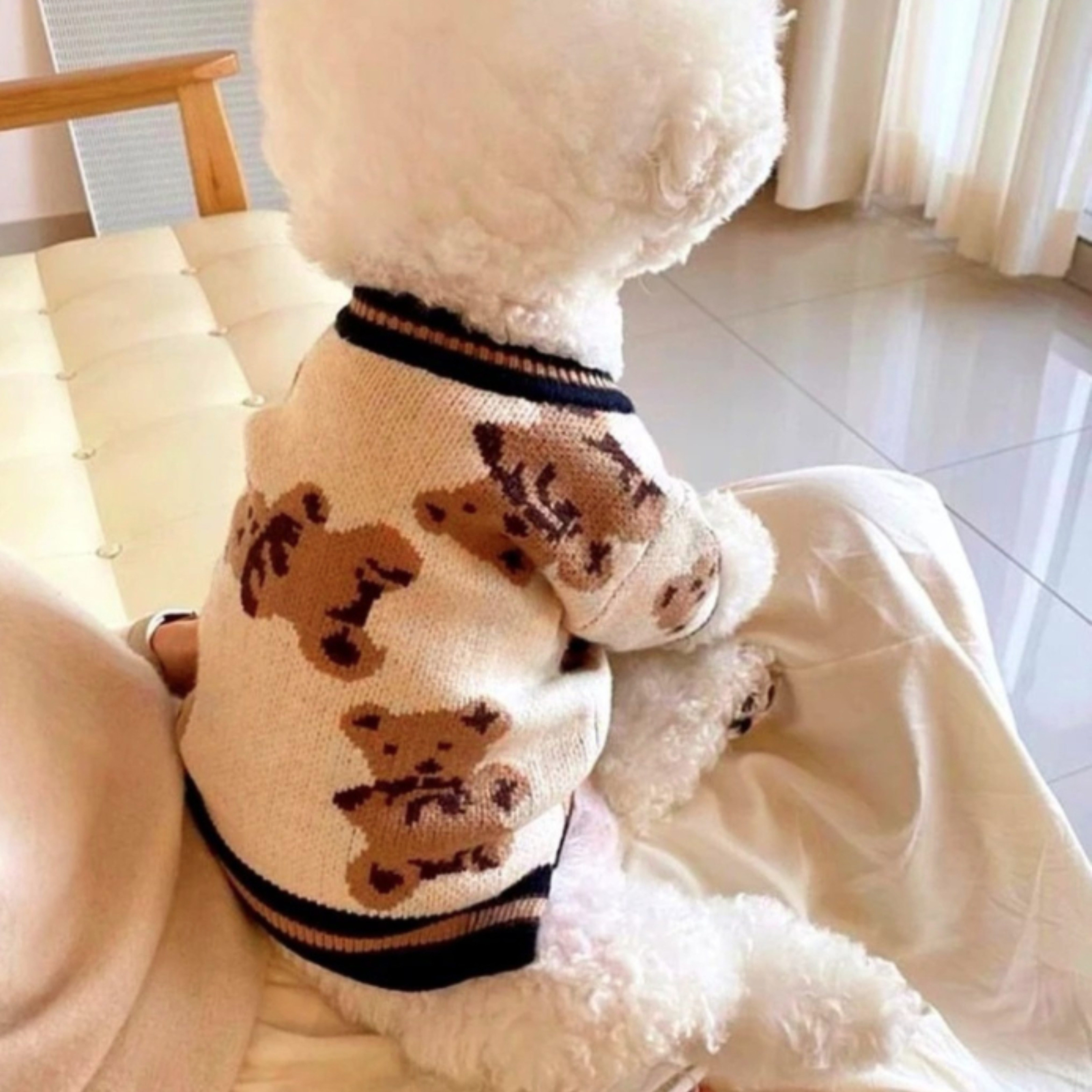 FLOCKI Pets™ Hundepullover Hunde Strickpullover, für Hunde in verschiedenen Größen, niedliches Teddy-Bär Design